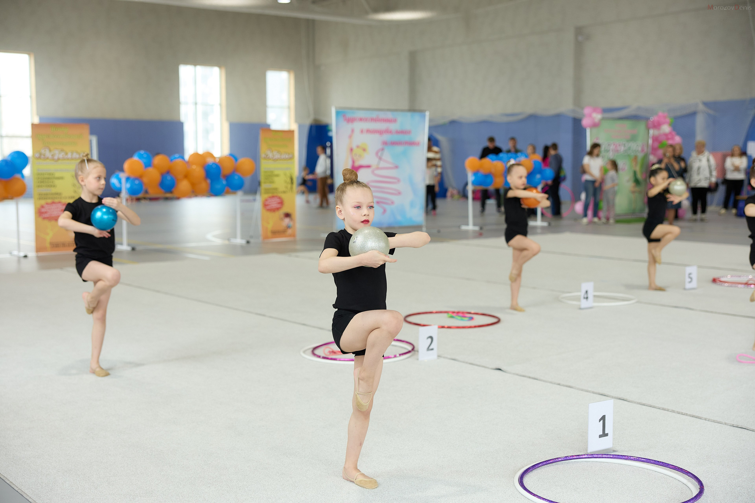 Художественная гимнастика