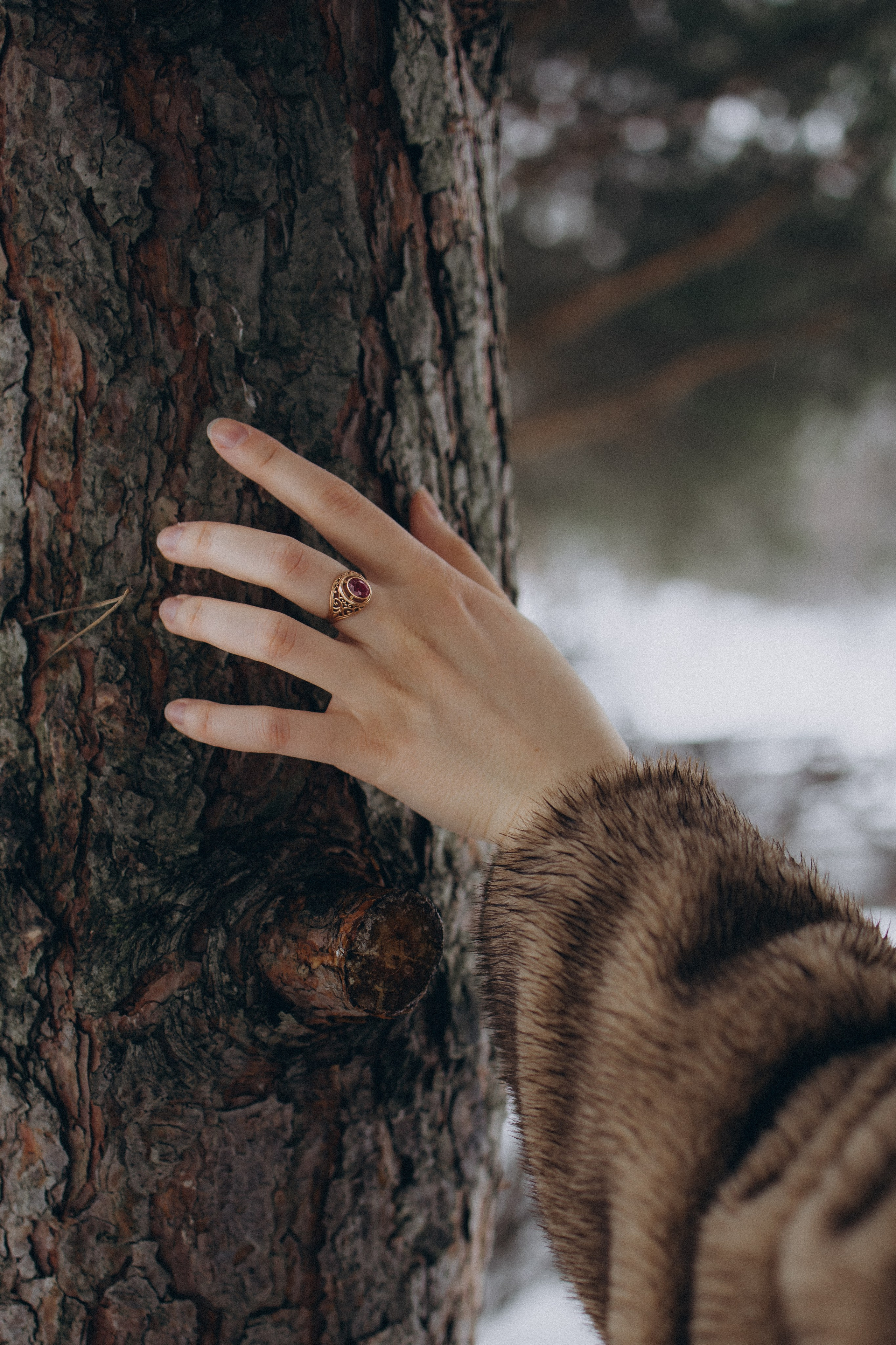 Зимнее очарование. Фотограф lifestylе в Москве Пшеничная Анастасия