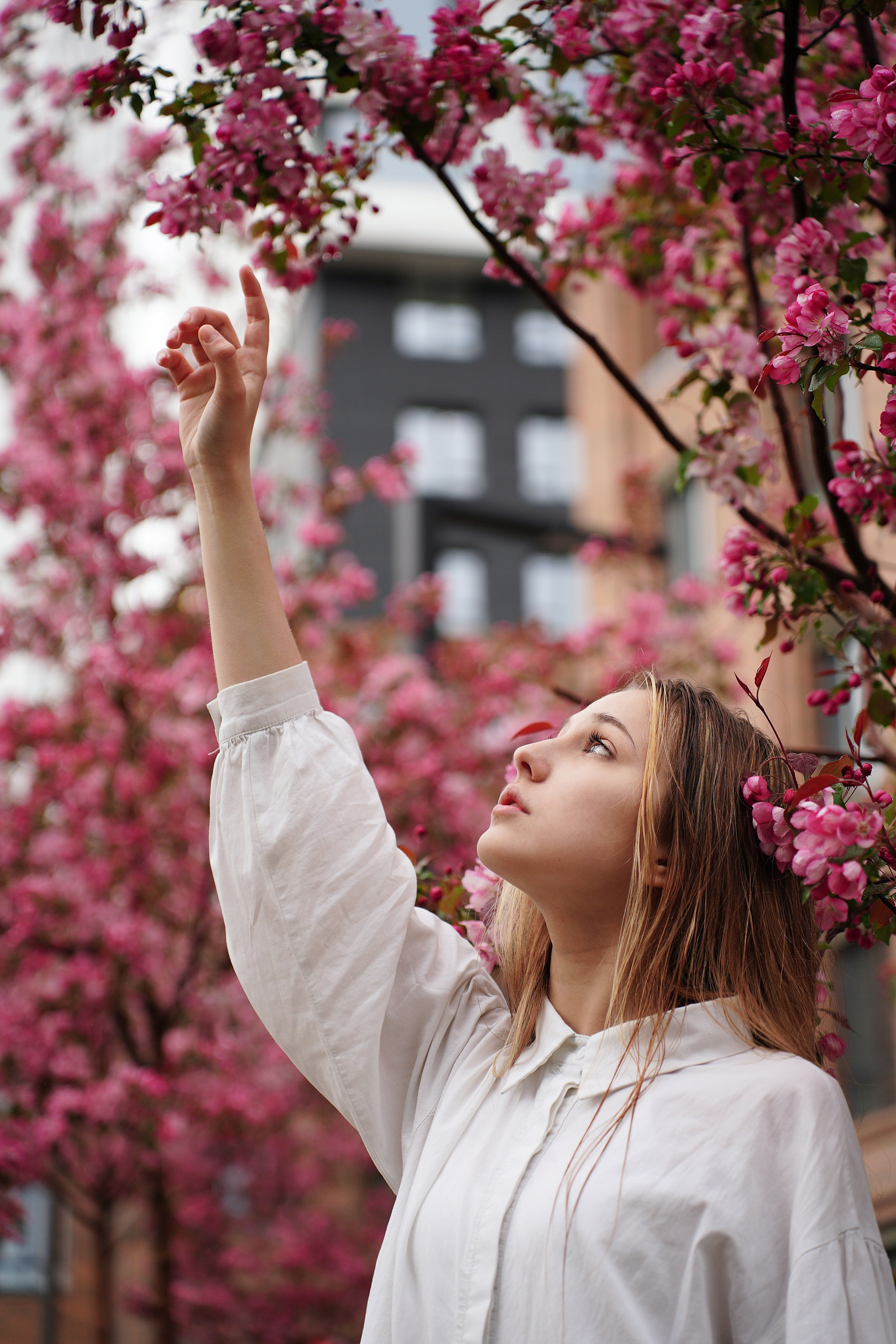 Оля Башкирская Сакура. Pupov.png