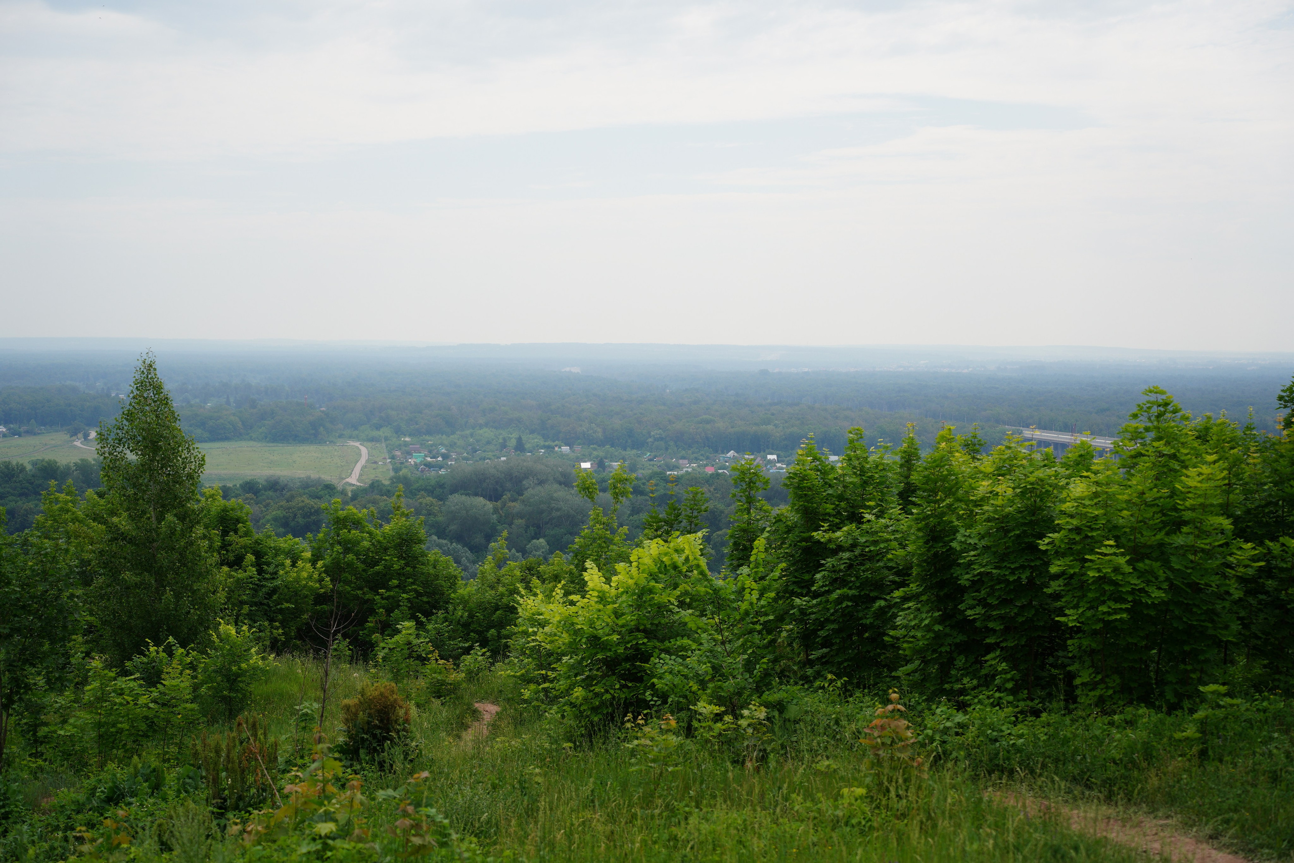 «Вело-Ящерка» Кроскантри соревнования. Pupov.png