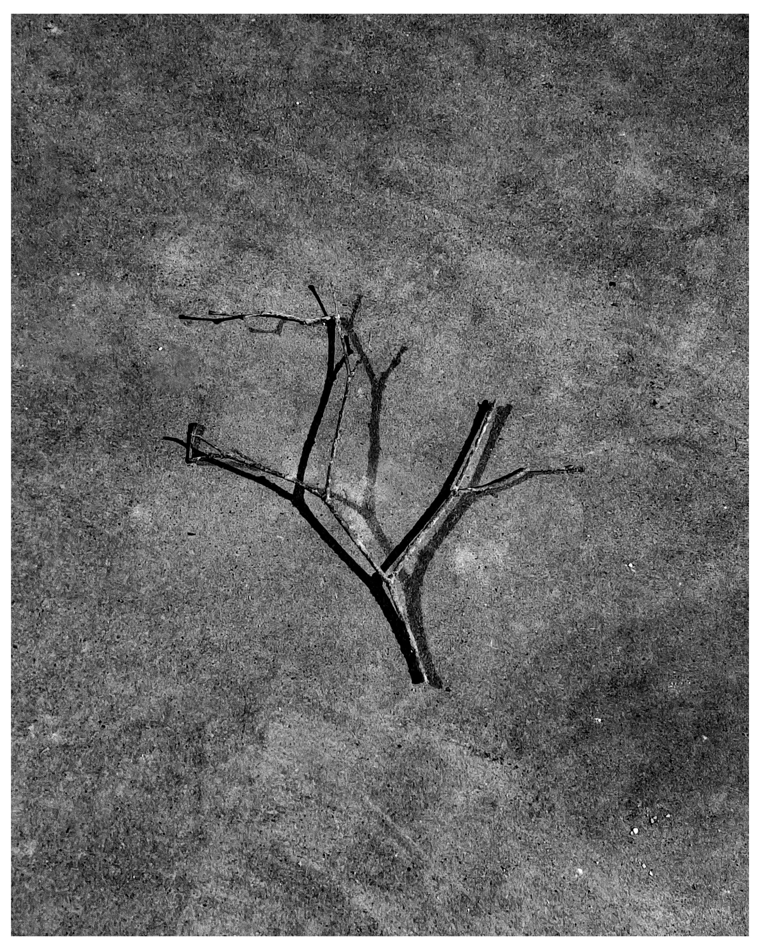 Мир повседневных Вещей. Репортажный и портретный фотограф, Влад Хафизов, Москва