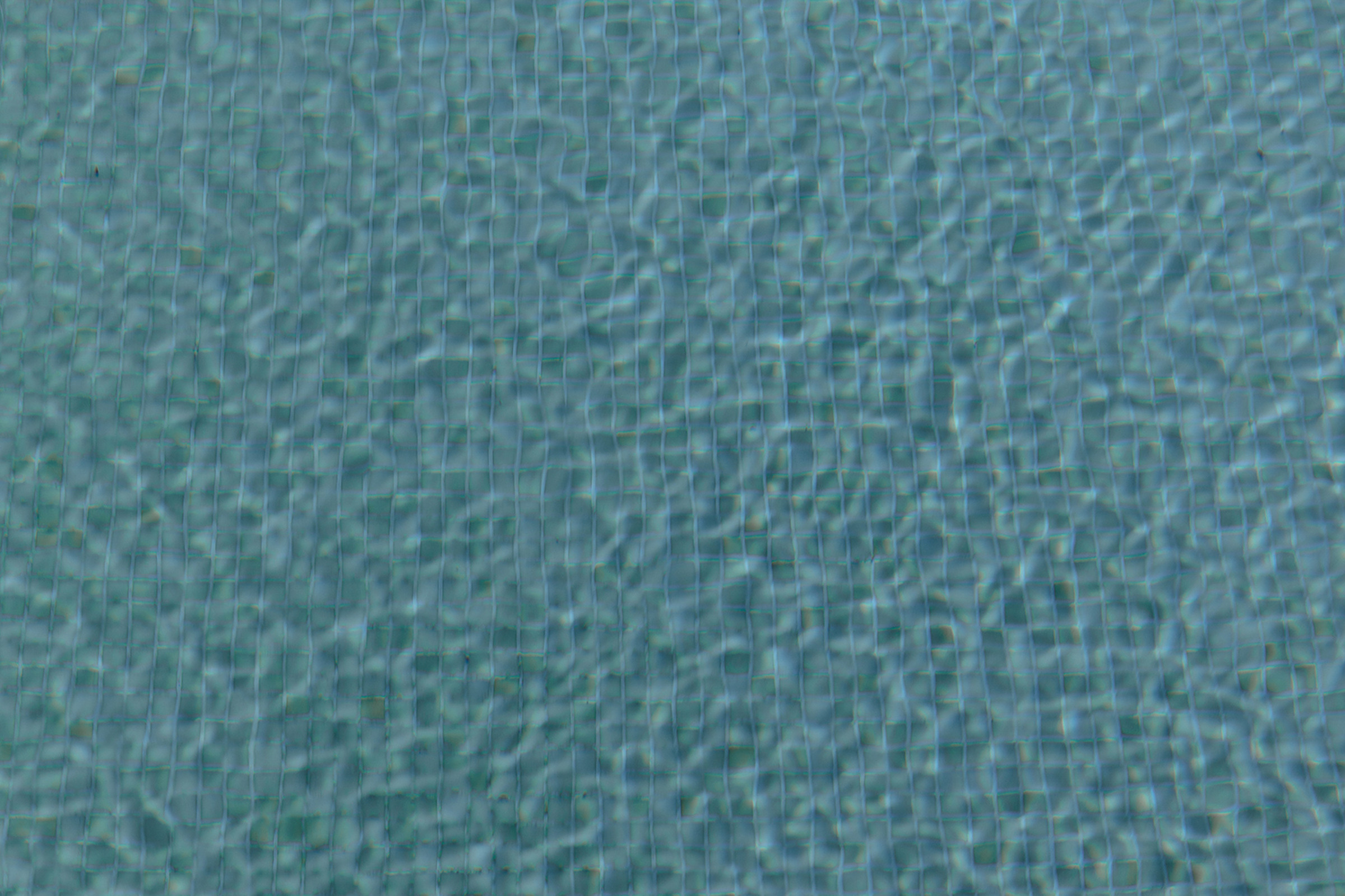 Павел&Алина. Свадебный и семейный фотограф в Краснодаре и крае