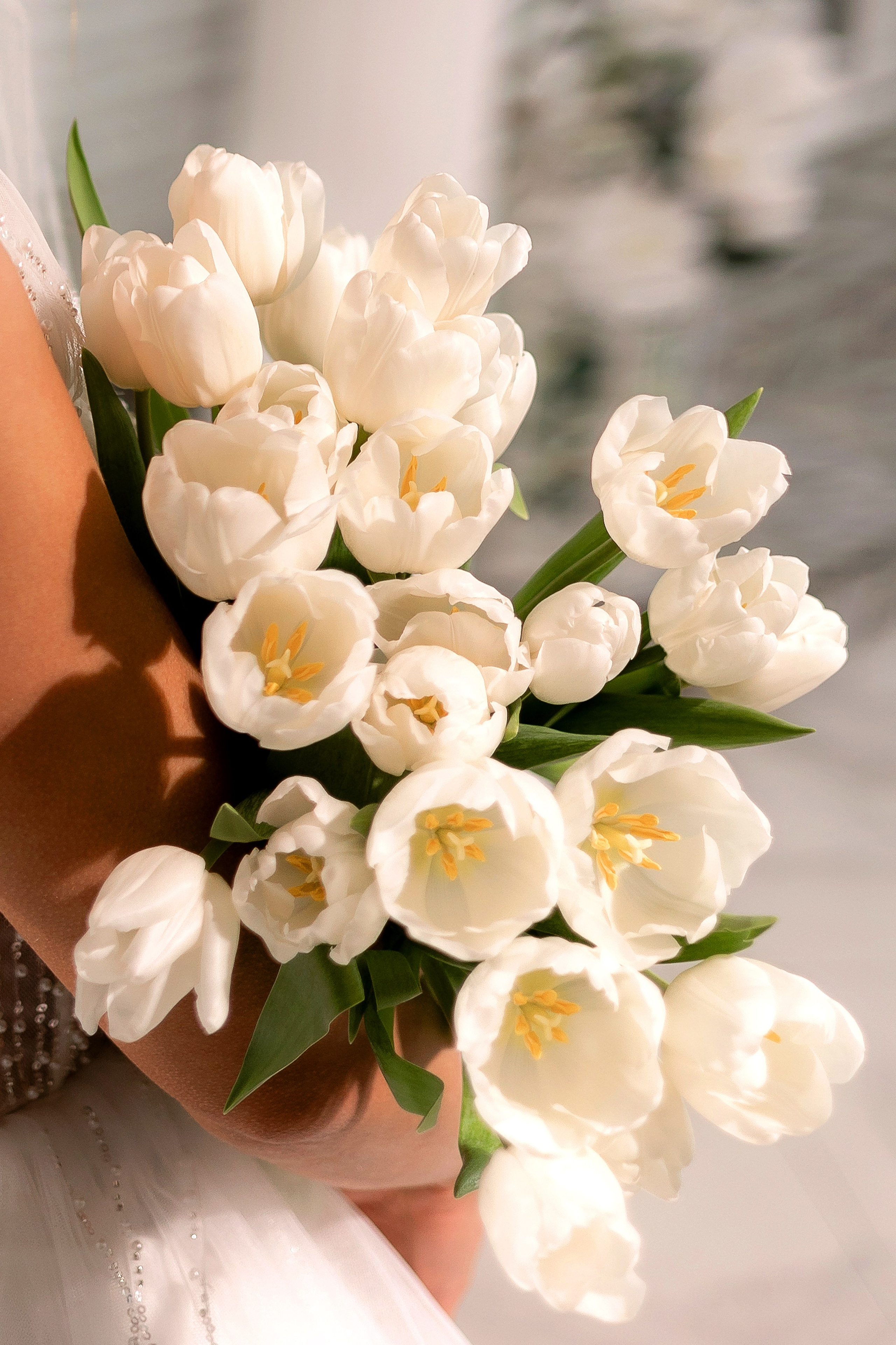 Настя. Свадебный и семейный фотограф Татьяна Ласкина в Великом Новгороде