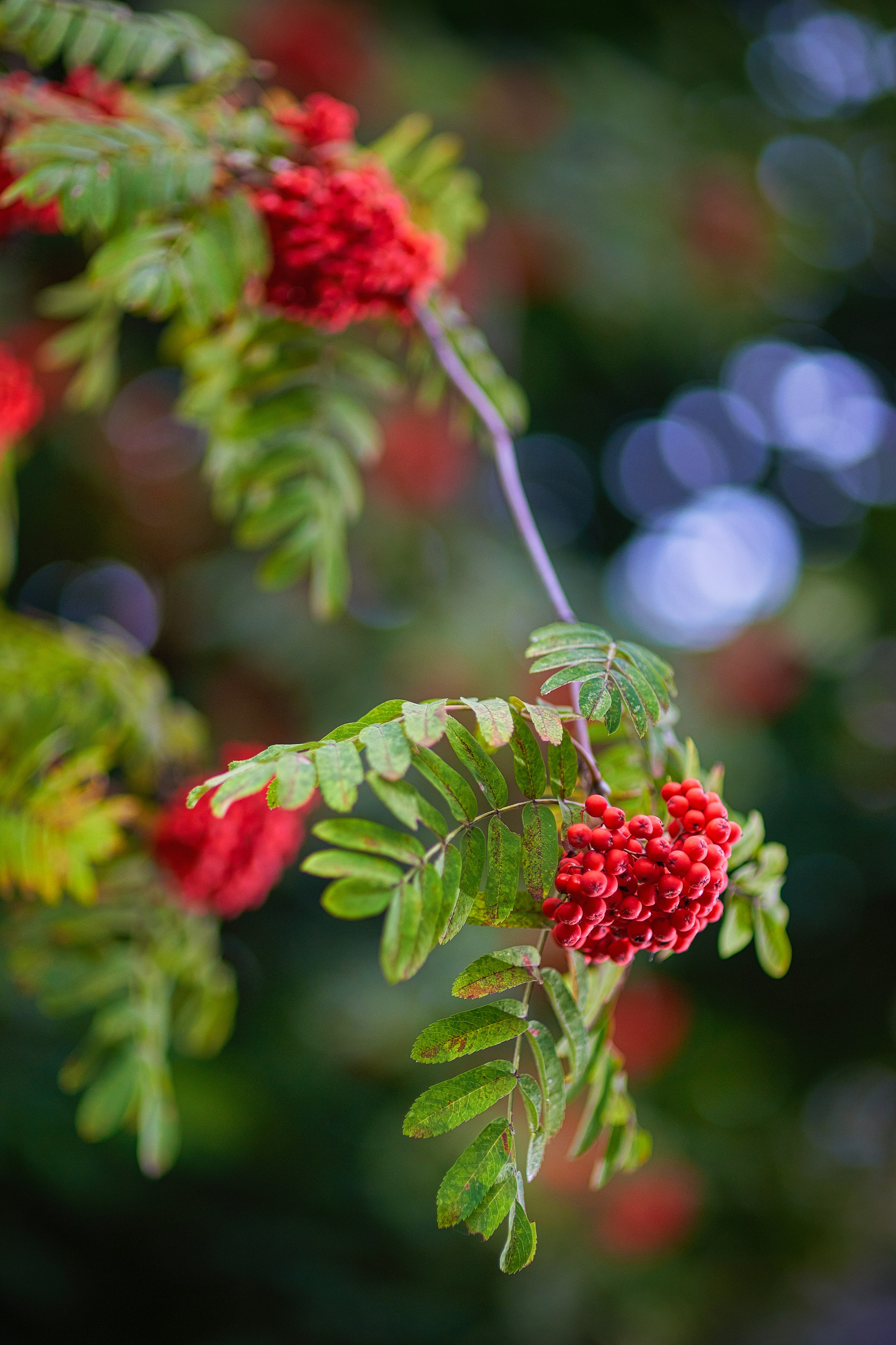 Наша мать — природа. Фотограф Владимир Артамонов