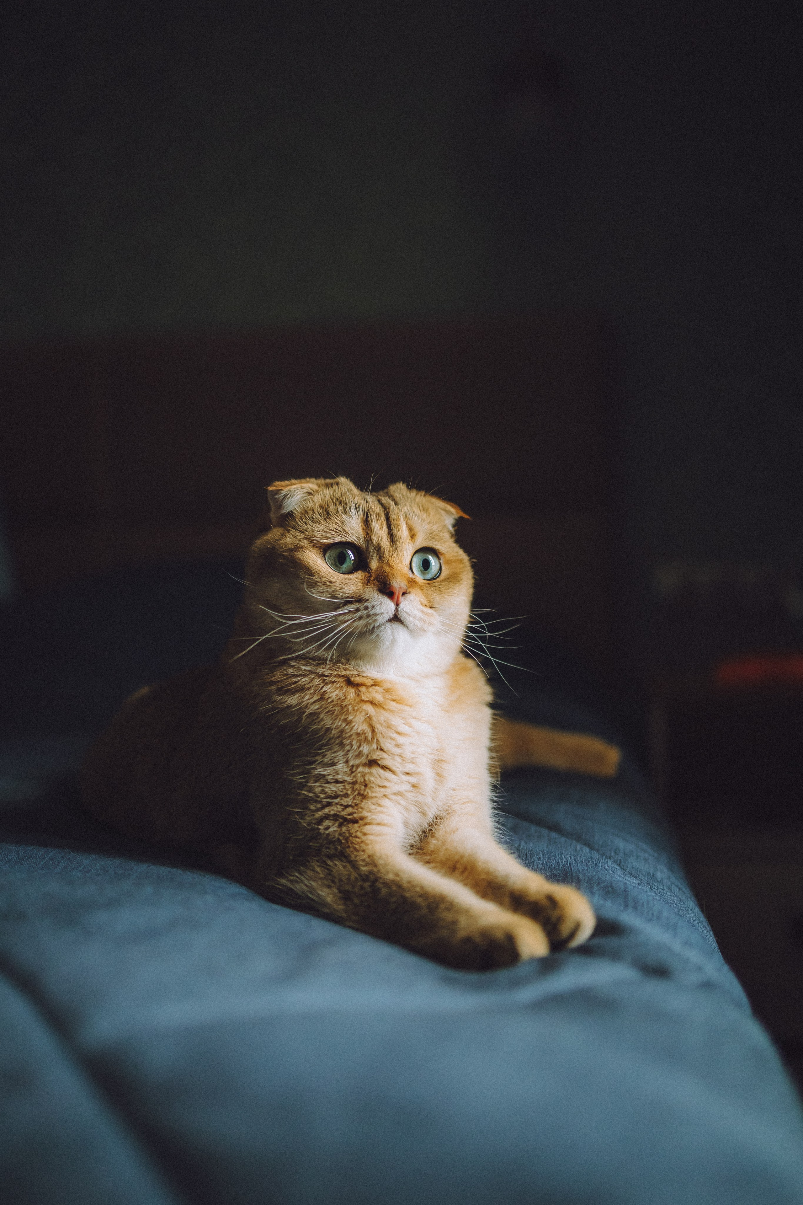 Генри и его семья