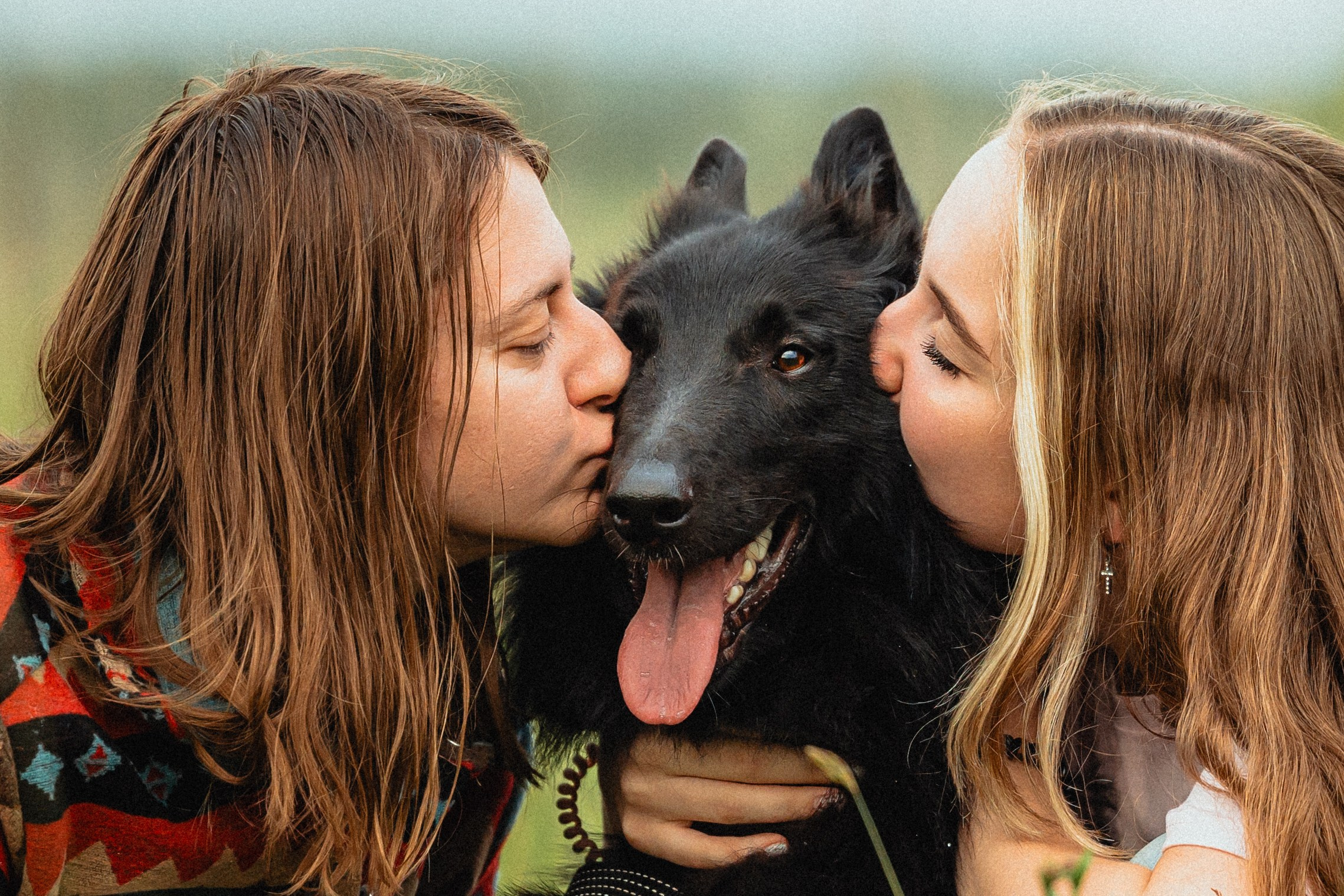 Выездной дог-тренинг от школы «Шерсть имею»