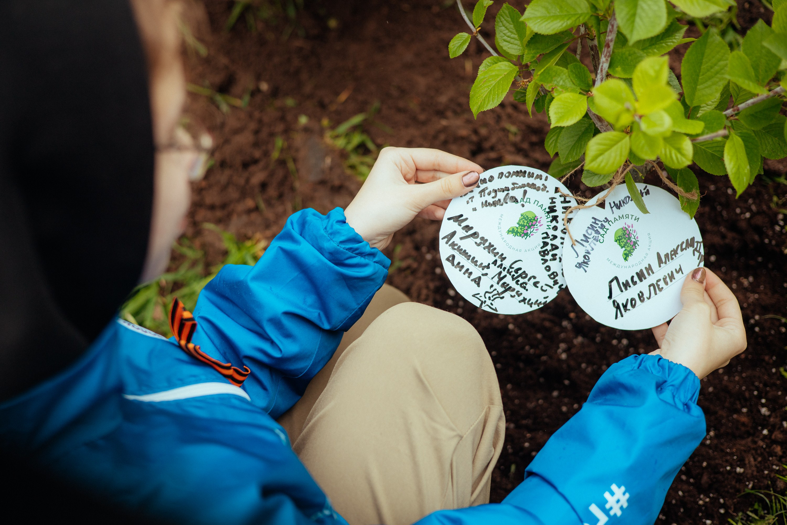 Сад памяти | волонтеры победы