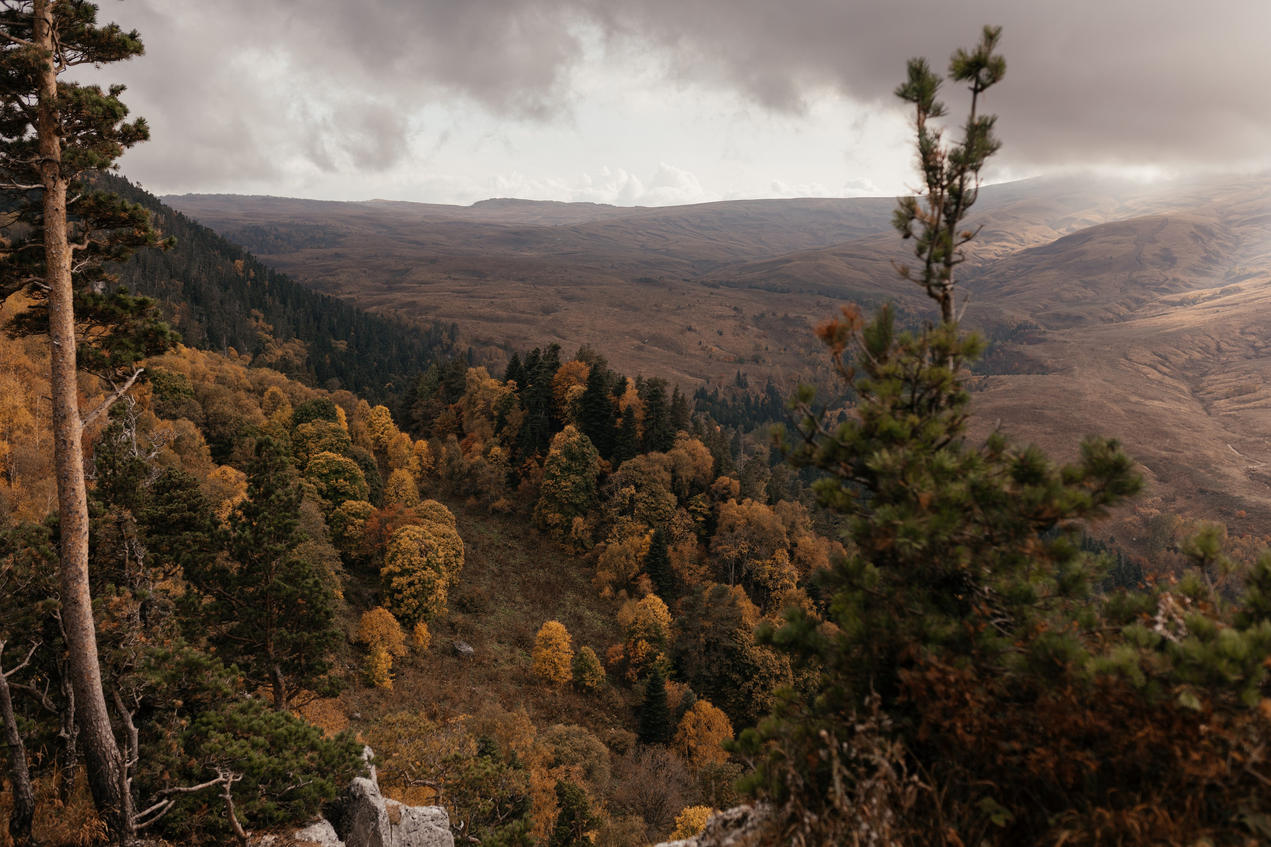 Кристина и Андрей|Wedding love story. Свадебный фотограф в Ростове-на-Дону и Азове Малявка Анастасия
