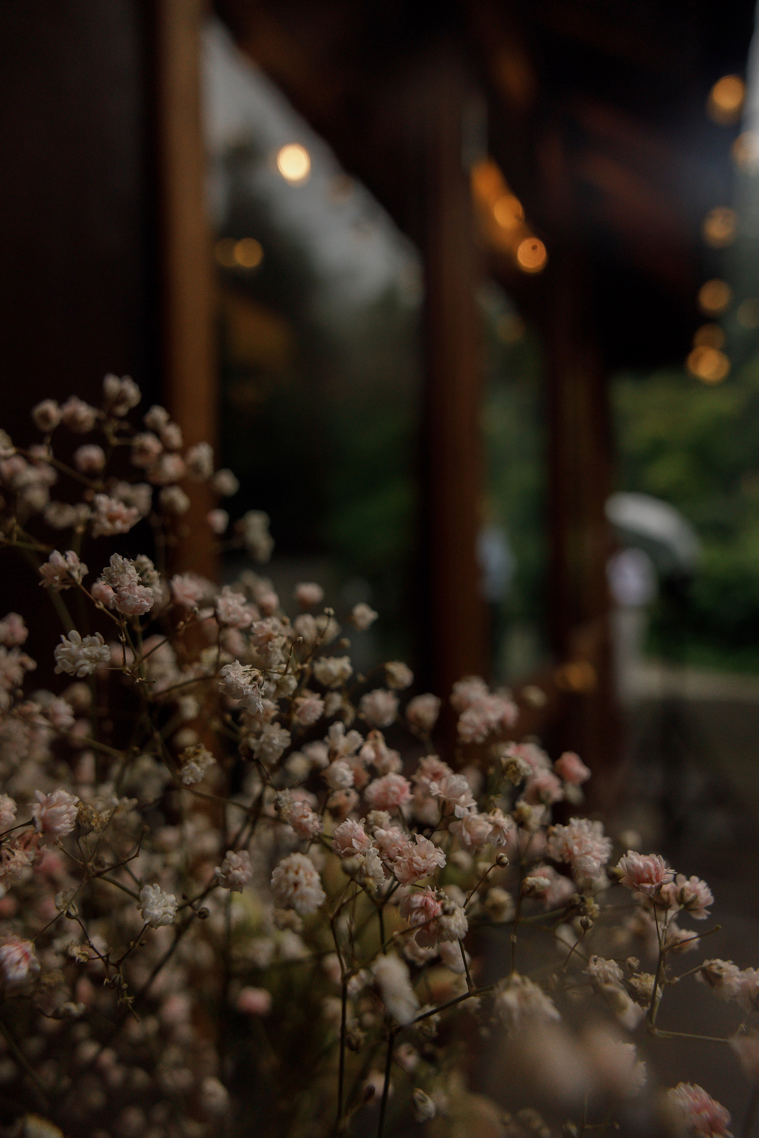 Анастасия и Владислав. Свадебный и семейный фотограф  во Владивостоке Ольга Украинец