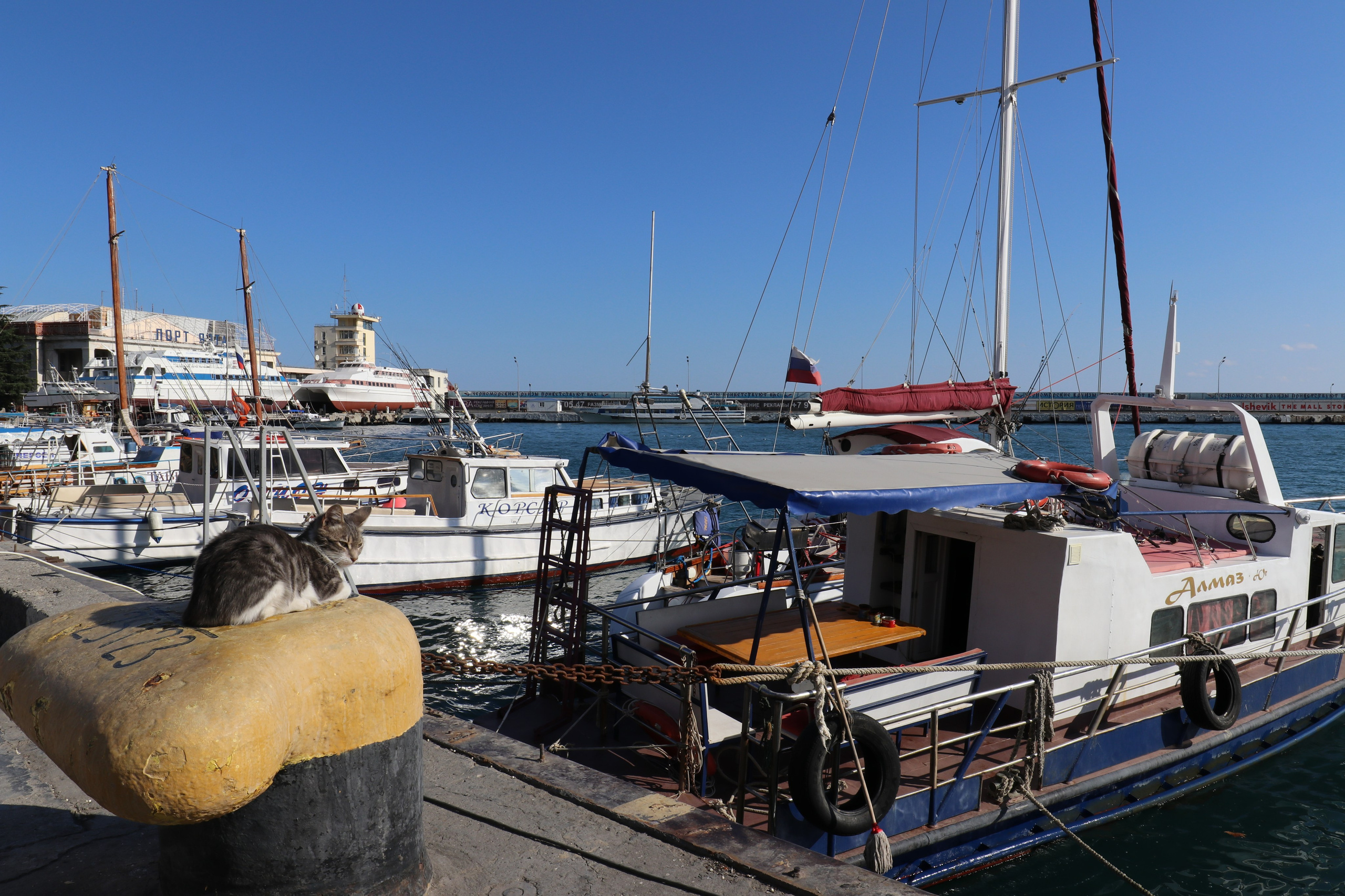 Крым. ЮБК (Фиолент, Ай-Петри, Роман-Кош). Знакомство. Октябрь 2017. Путешественник-фотограф из Санкт-Петербурга Татьяна Свистулина