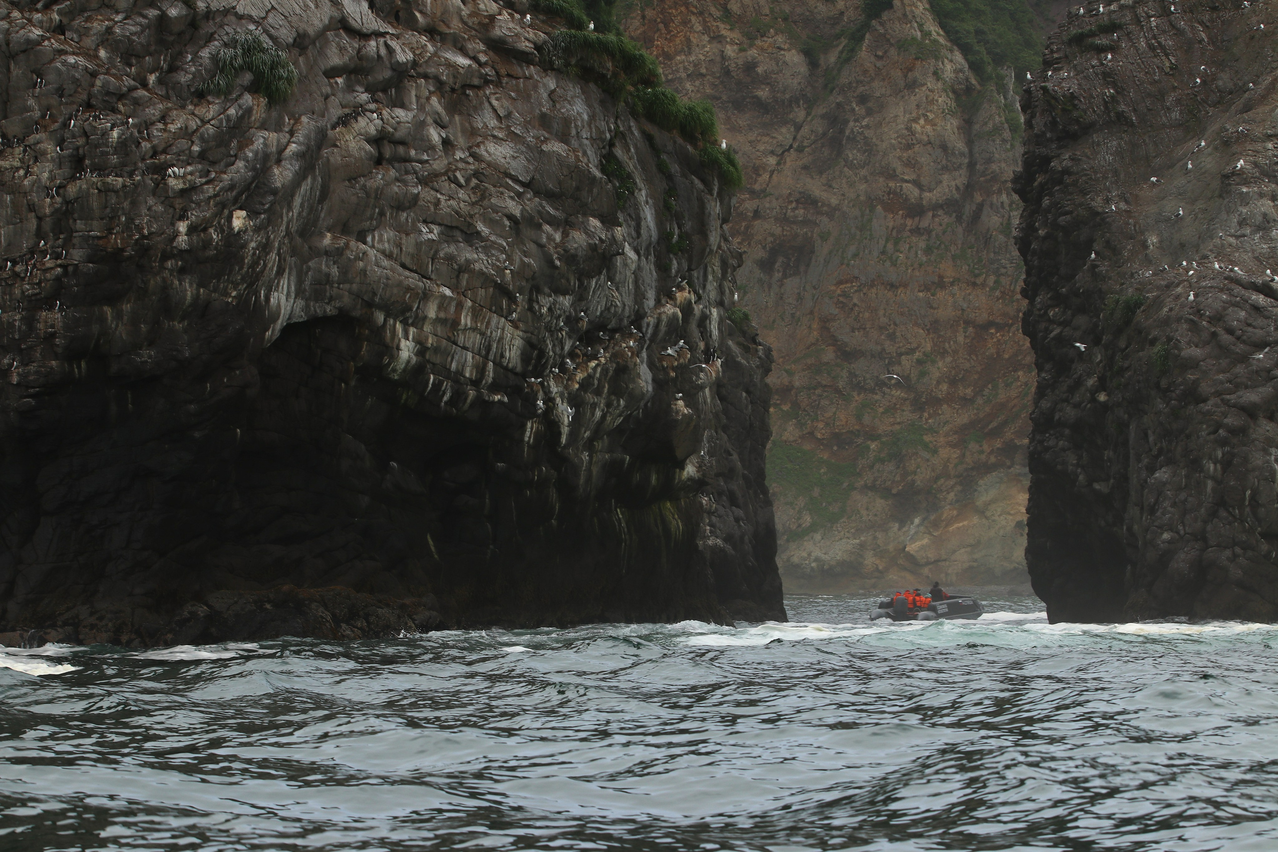 Камчатка и о. Парамушир. Июль 2024. Путешественник-фотограф из Санкт-Петербурга Татьяна Свистулина