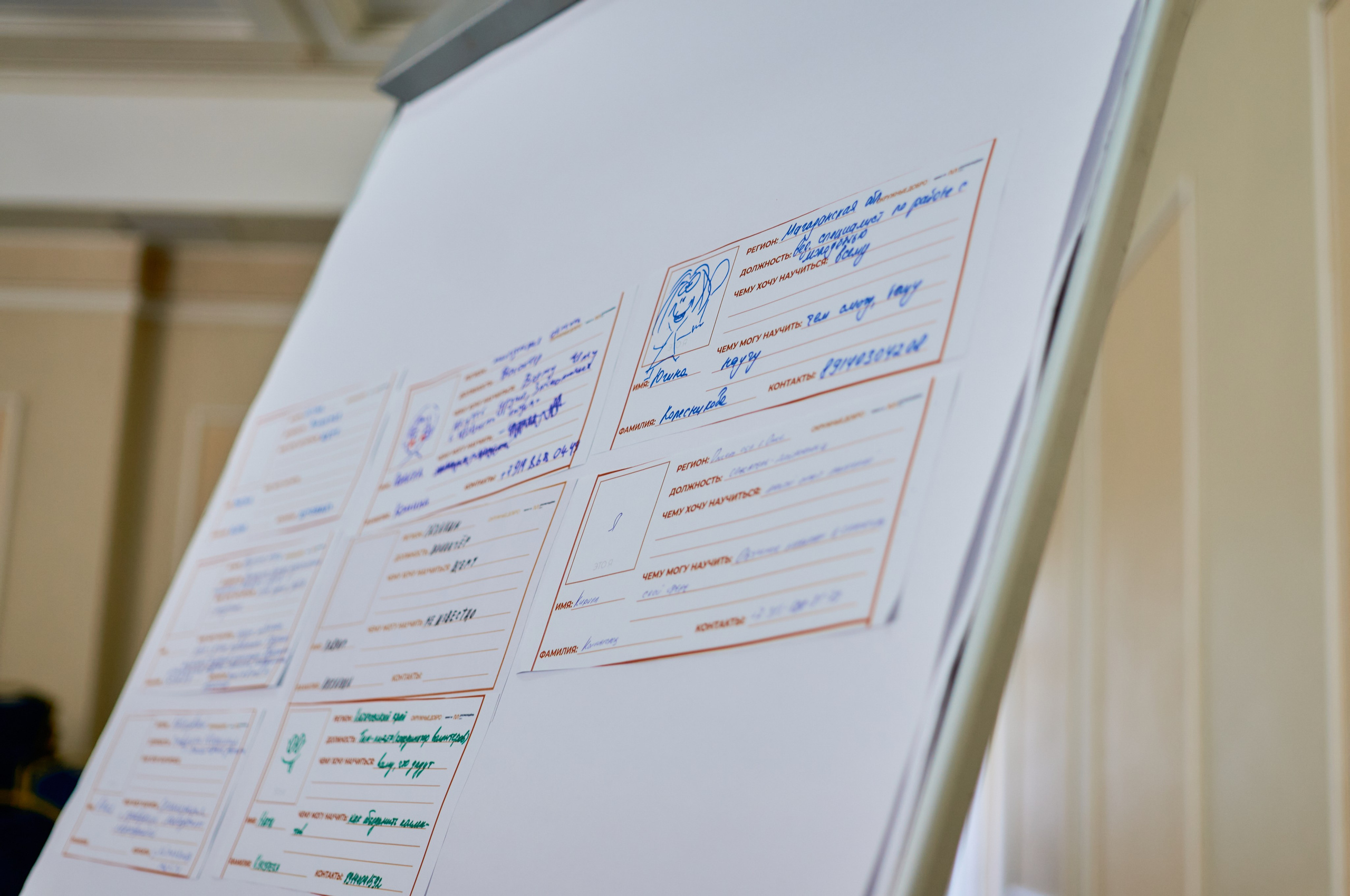 Окружной форум добровольцев СФО и ДФО. Фотограф | Кнышева Валерия | Санкт-Петербург