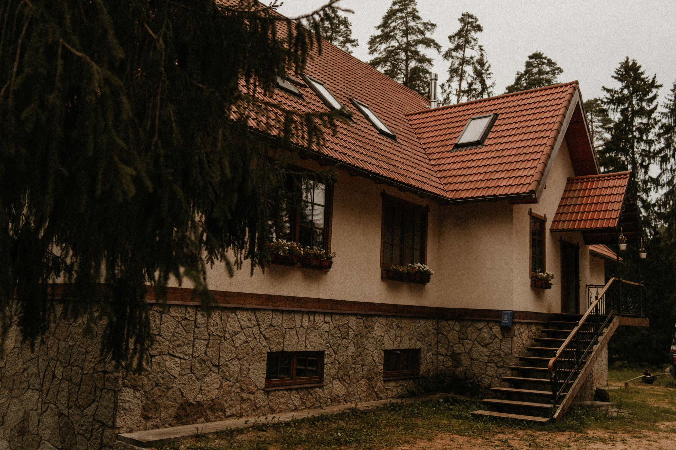 УТРО В ЛЕСУ. Миша Снимет | твой фотограф