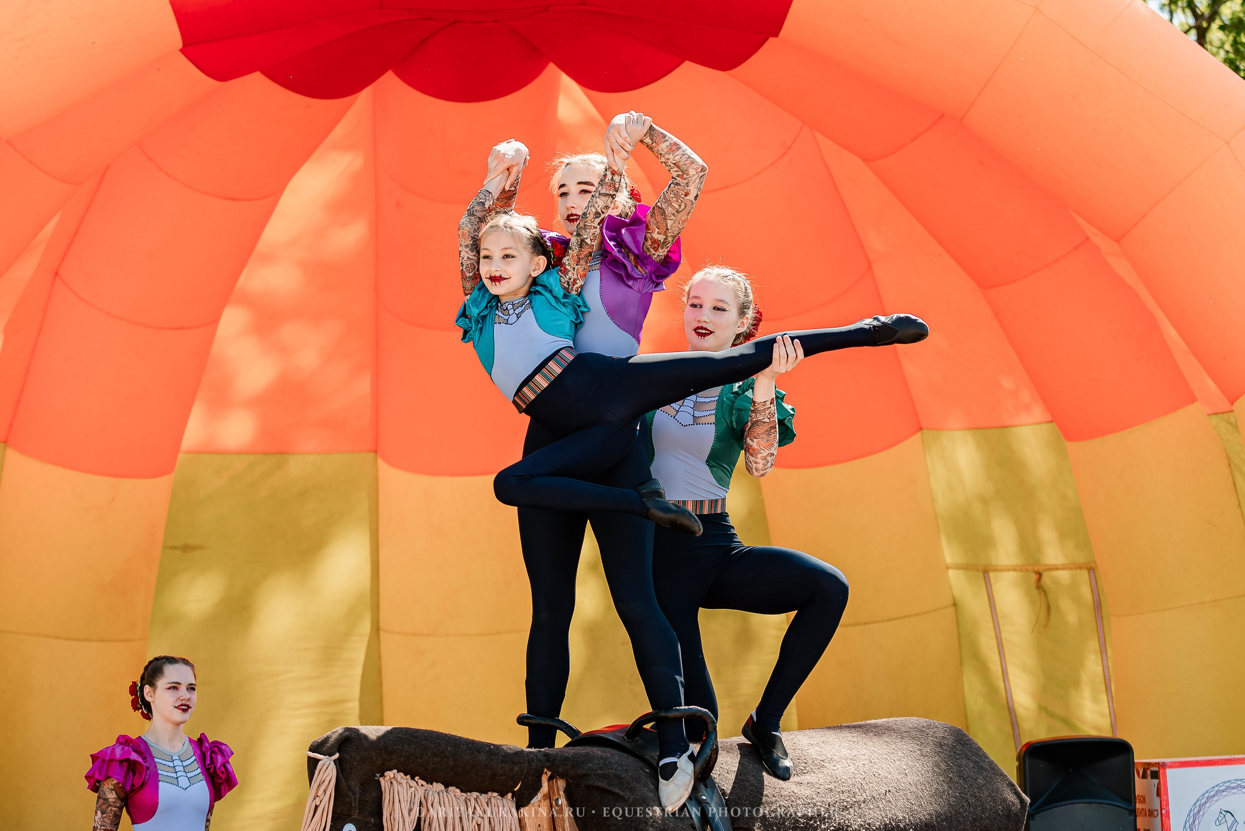 #ПОНИФОРУМ 2024. Конный фотограф Куракина Дарья • Фотосессии с лошадьми