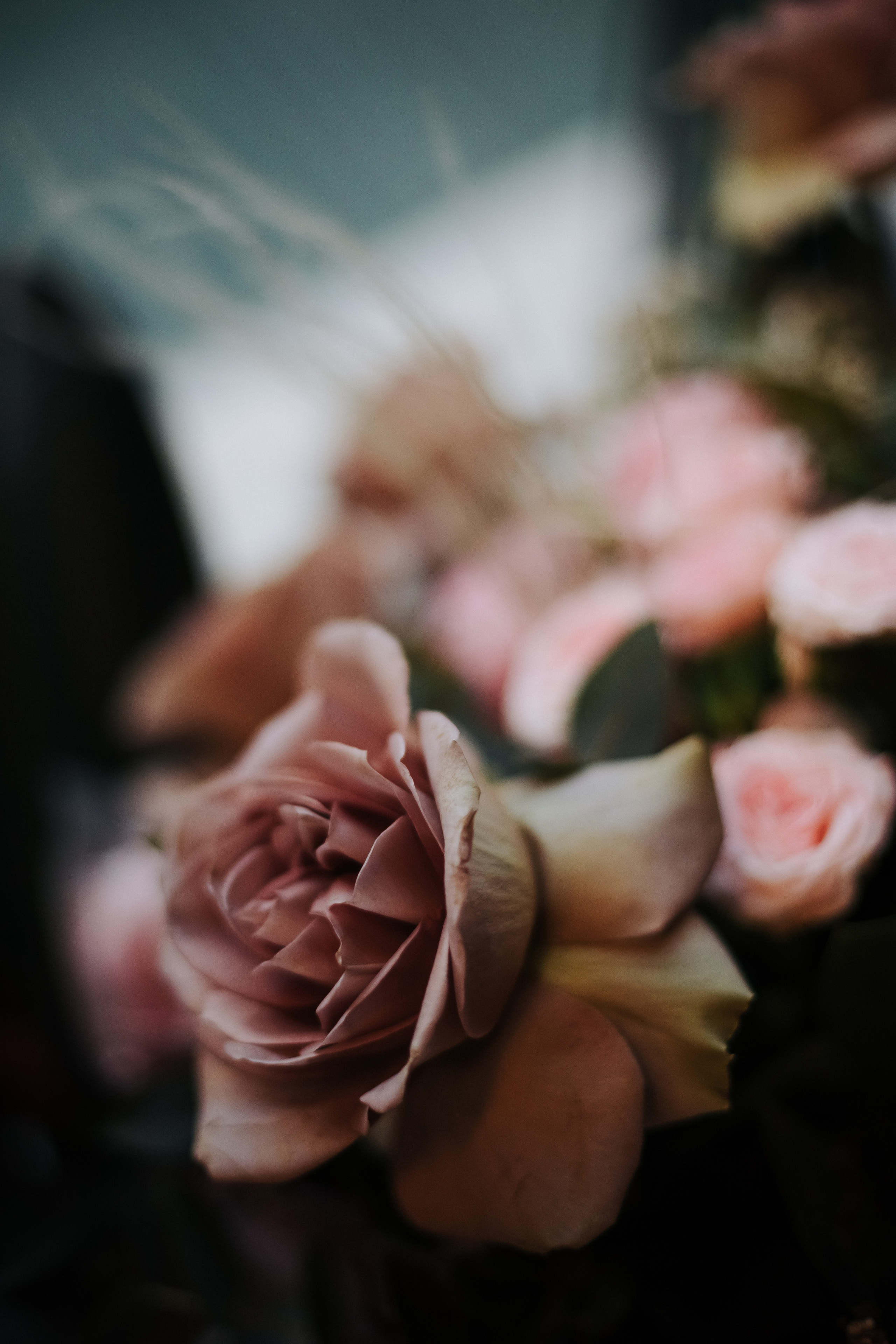 Репортаж микс. Майя Алиева Свадебный фотограф в Санкт-Петербурге