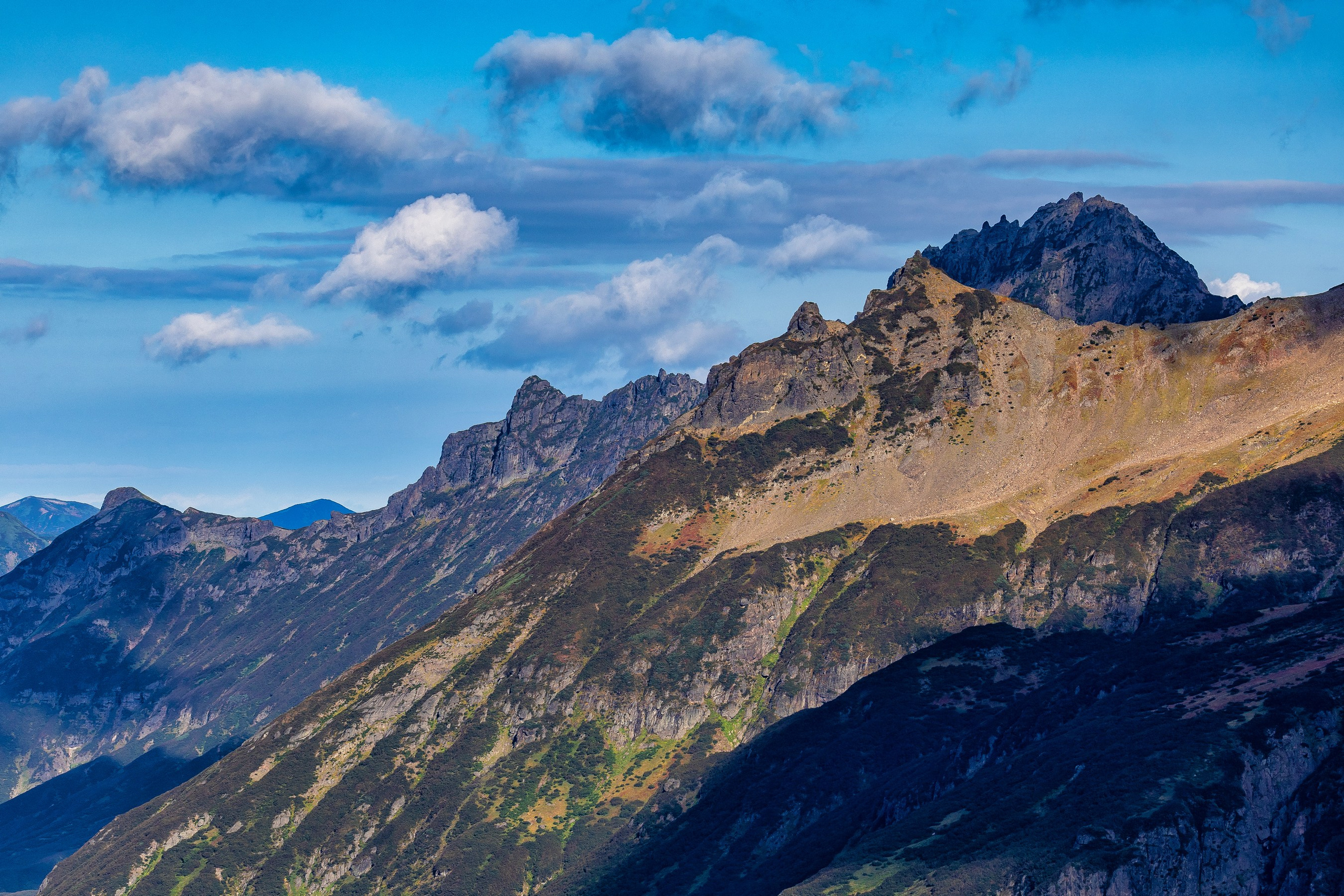 Макс По — фото и видео съемки любого формата