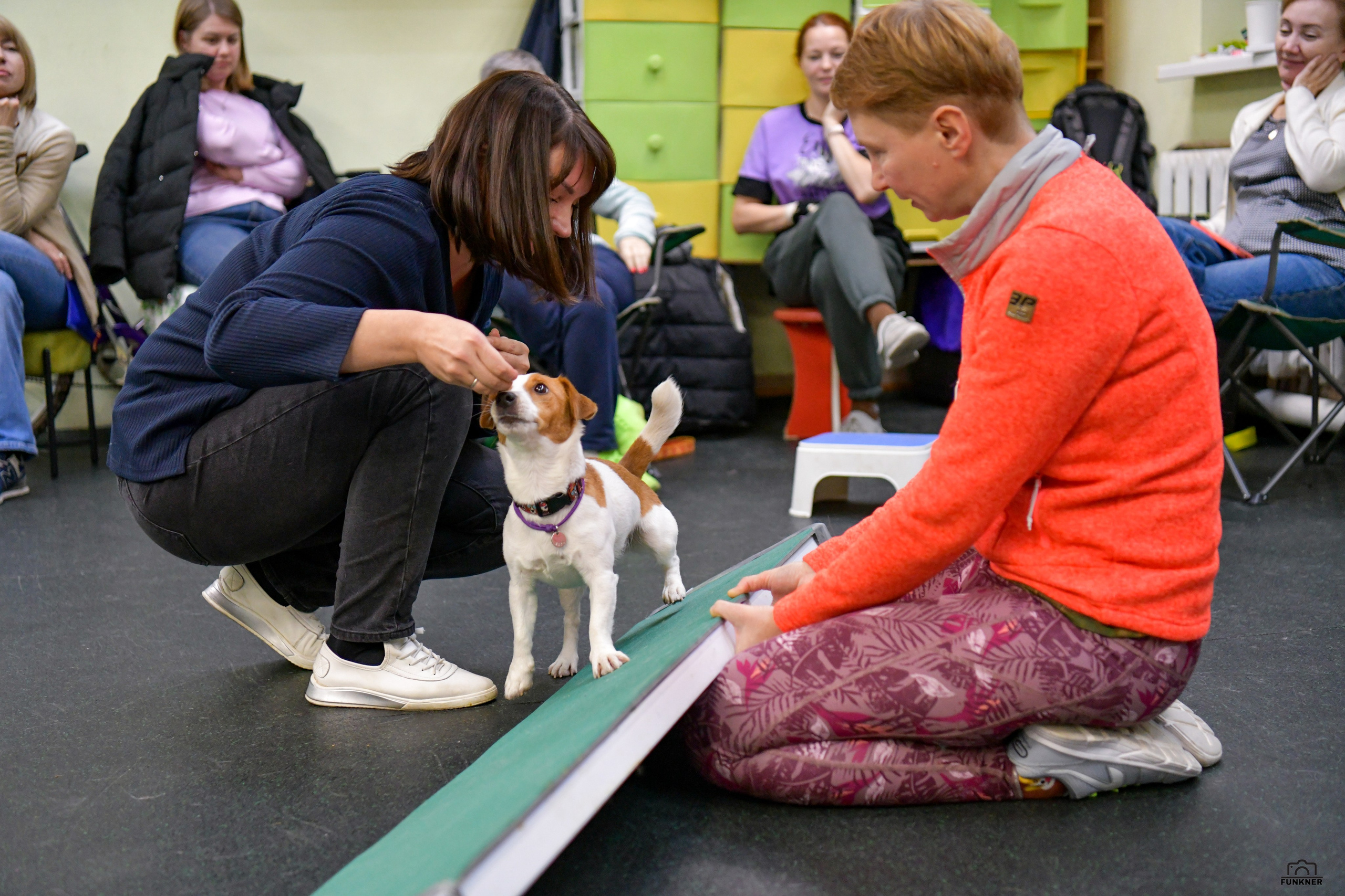 Кинологический клуб «Бодрый хвост». Свой взгляд через объектив