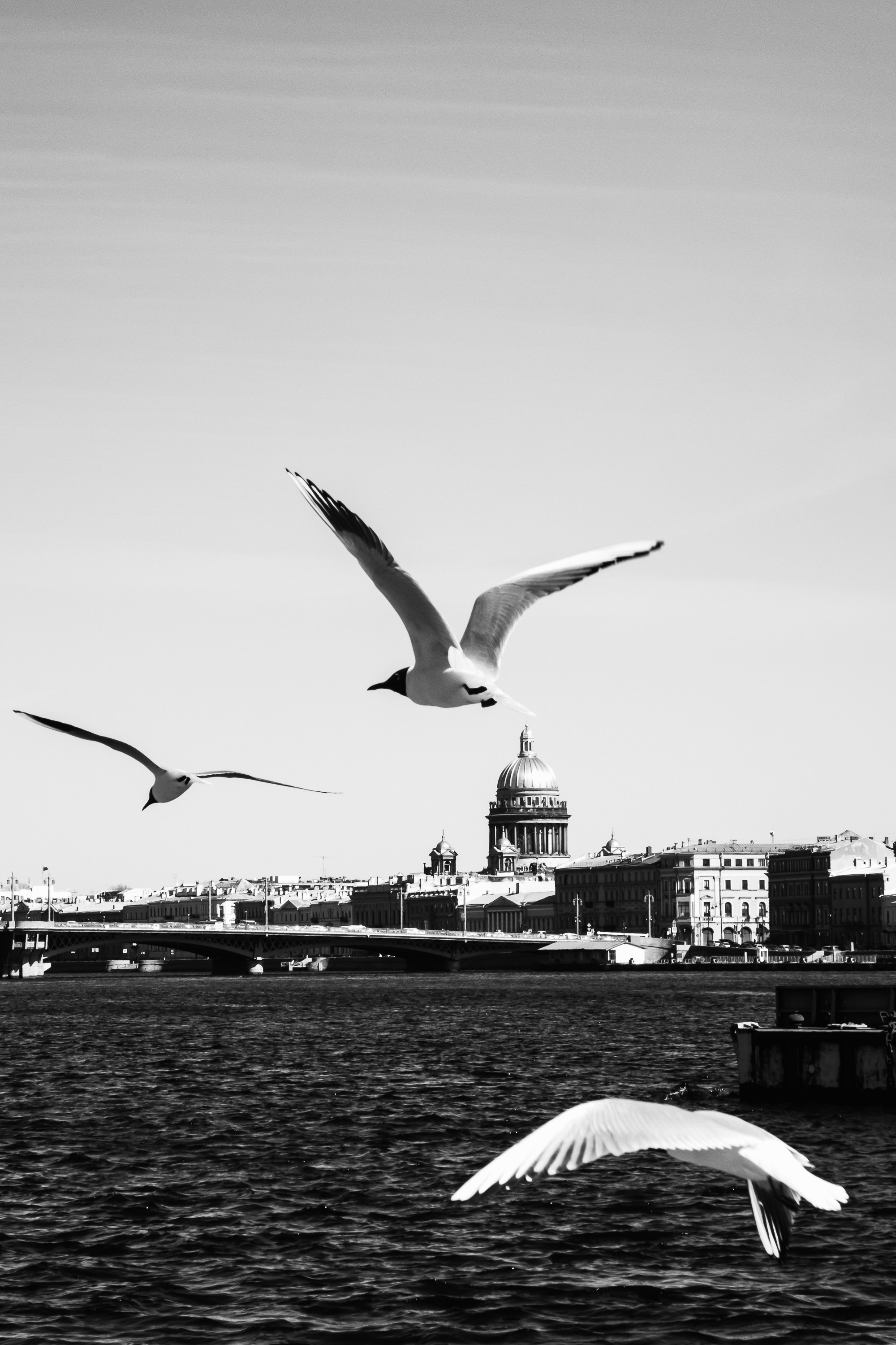 Санкт-Петербург. Портретный фотограф
