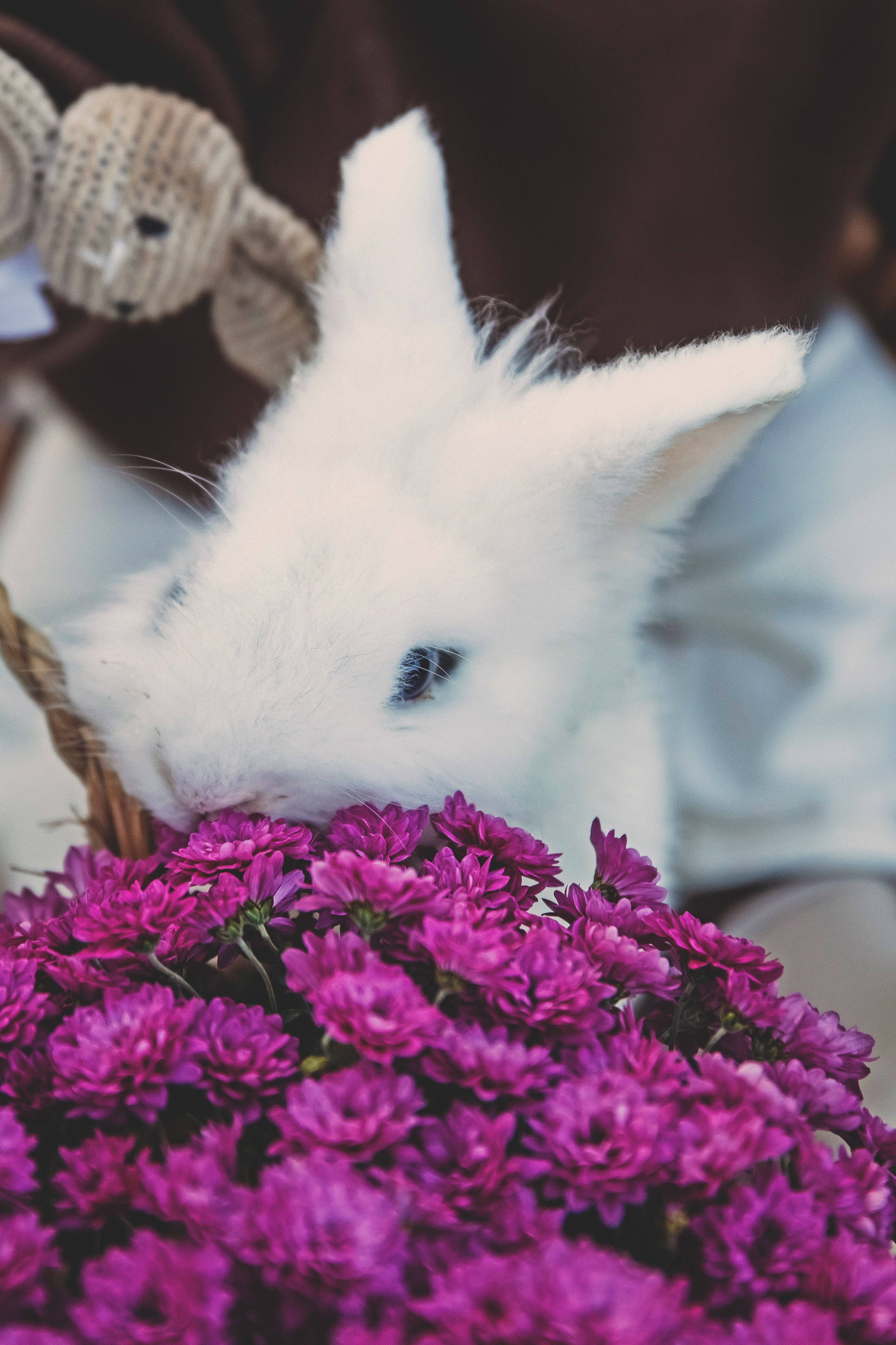 Мирославу 1 годик. Свадебный и семейный фотограф Колоскова Мария (Сочи и весь мир)