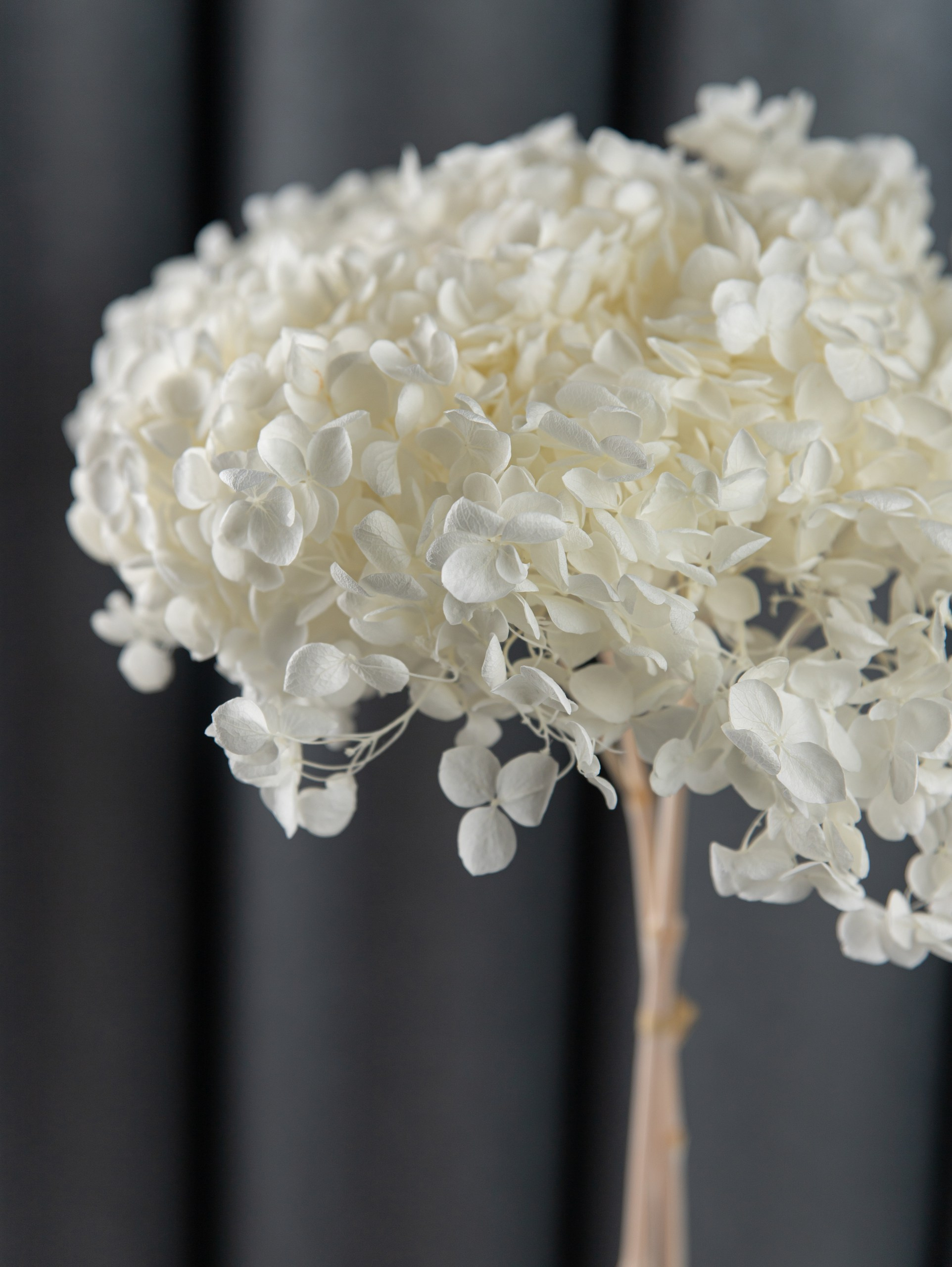 Расчёт стоимости предметной съёмки