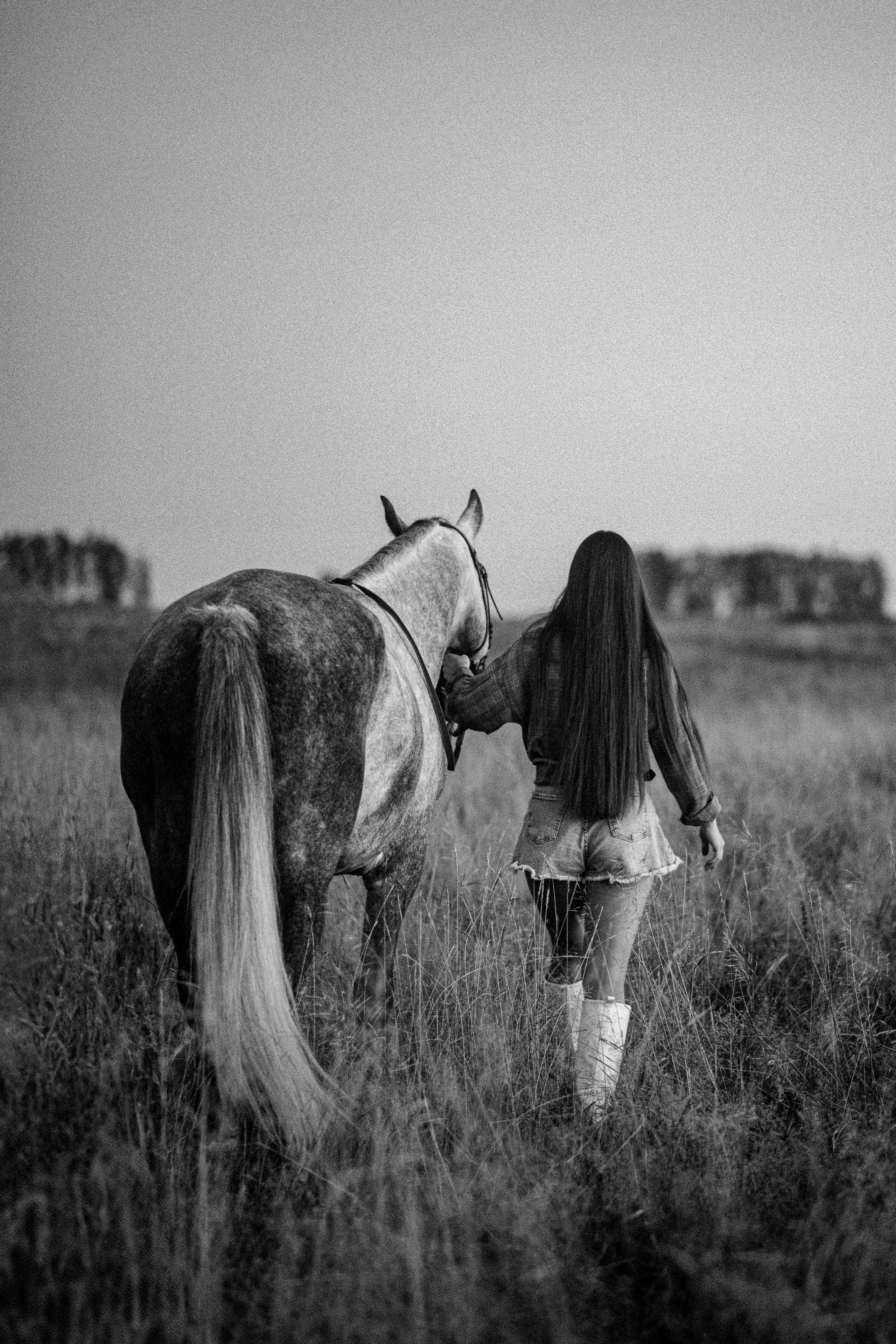 Вероника и Дакар — 23.09.2024. Фотограф — Анималист | Анна Абрамова