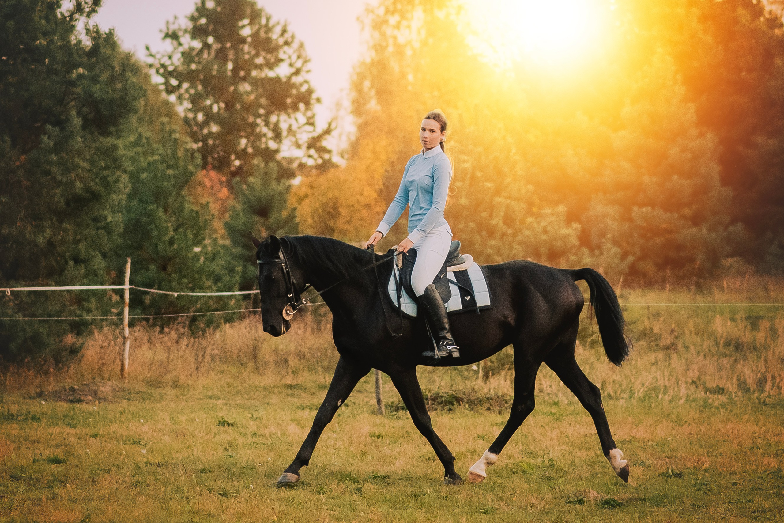 Дени — 23.09.2025. Фотограф — Анималист | Анна Абрамова