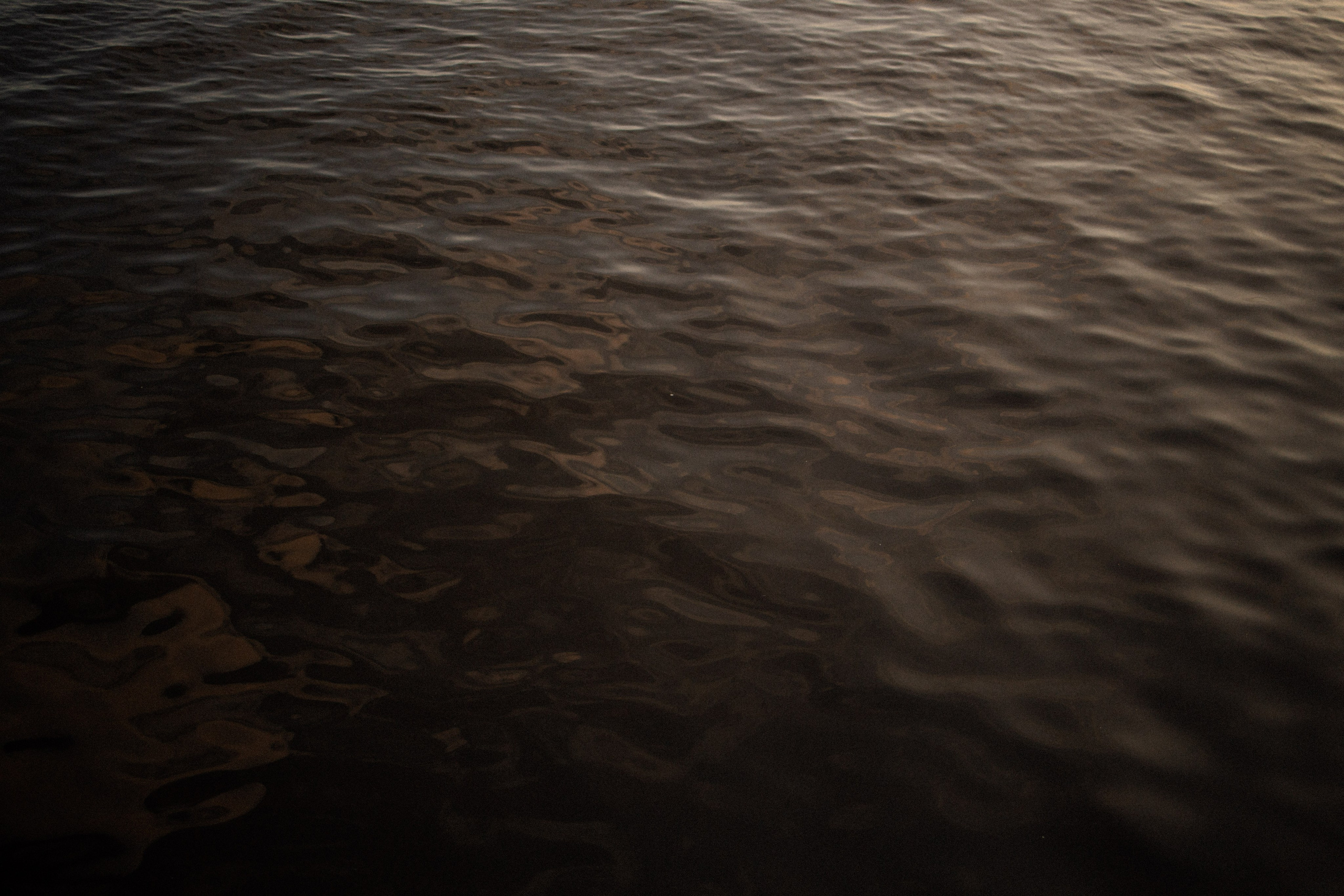 Lovestory (мк). Свадебный фотограф Москва Санкт-Петербург Сочи Калининград Мария