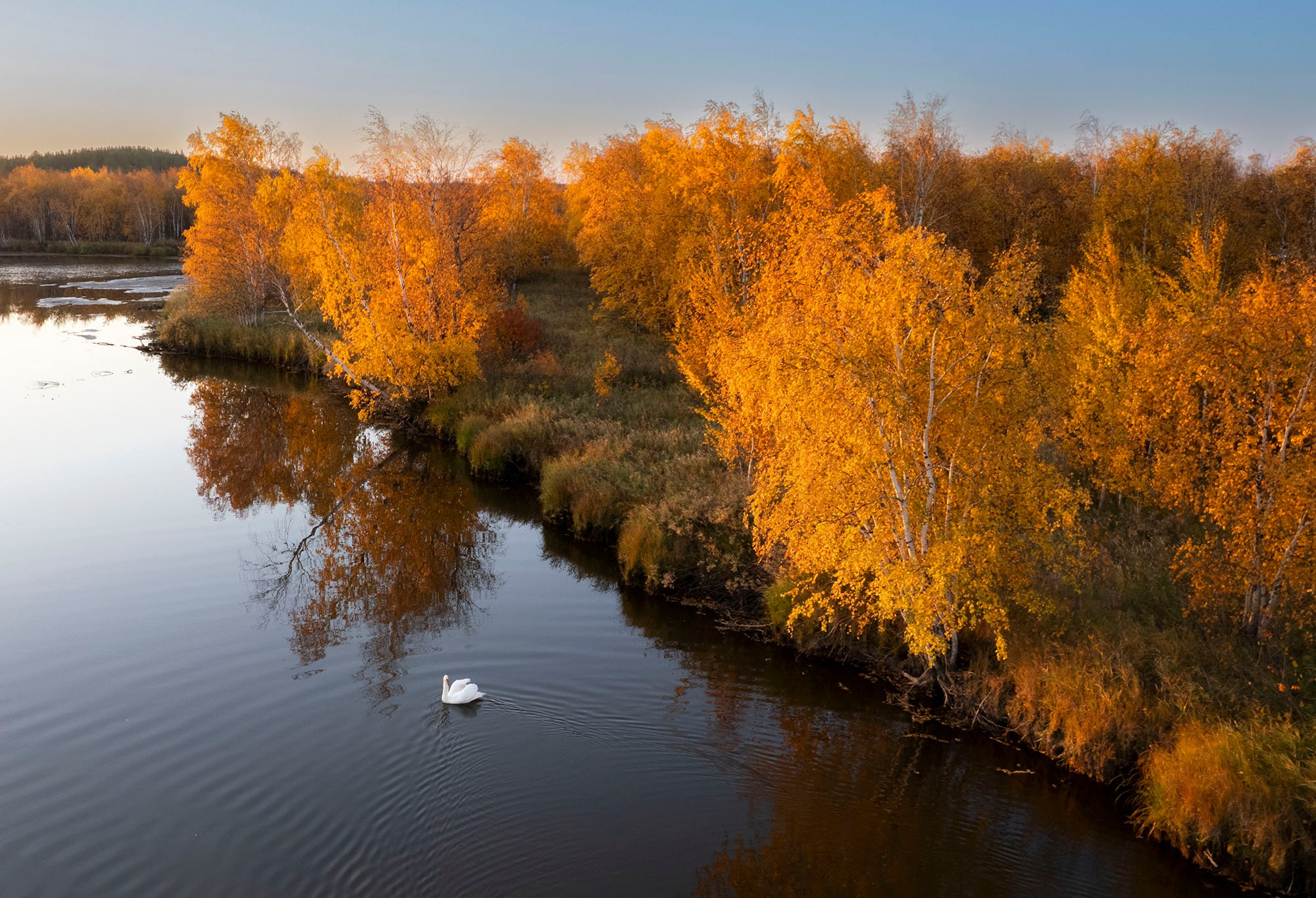 ПРИРОДА С ДРОНА. Фотограф Татьяна Борисова