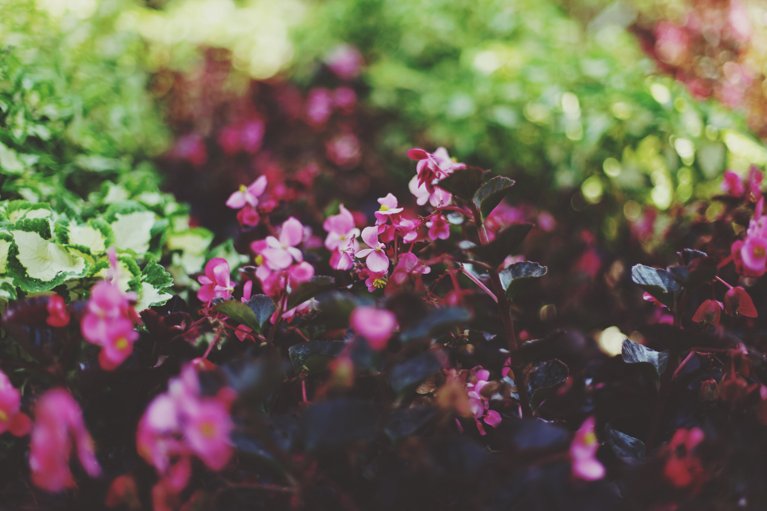 Болгария. Аня Степанова