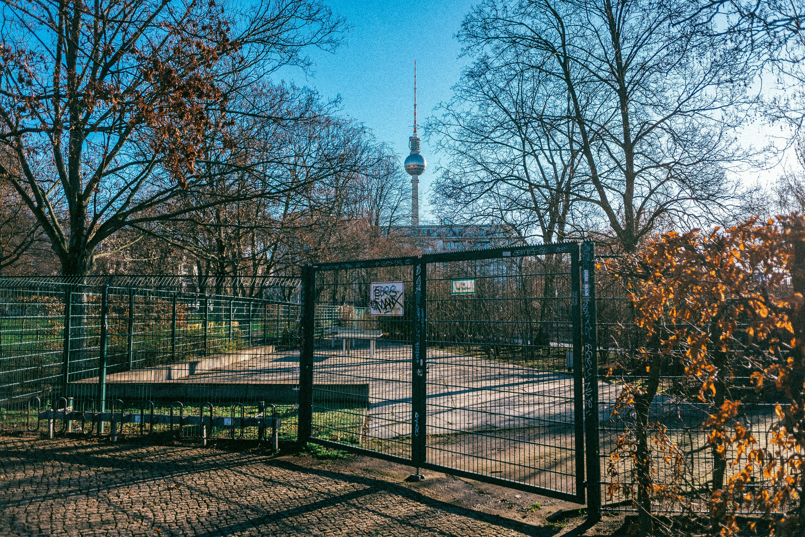 Берлин. Аня Степанова