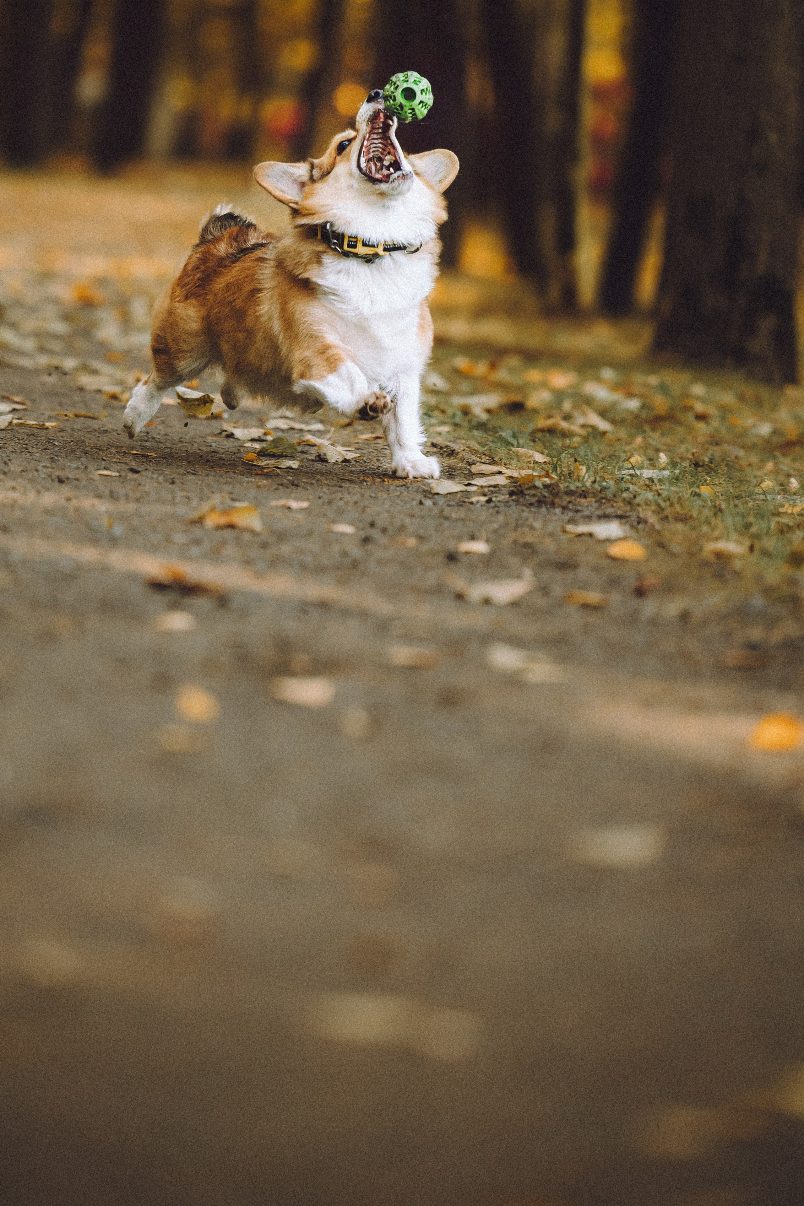 Карина, Даня и Аркаша