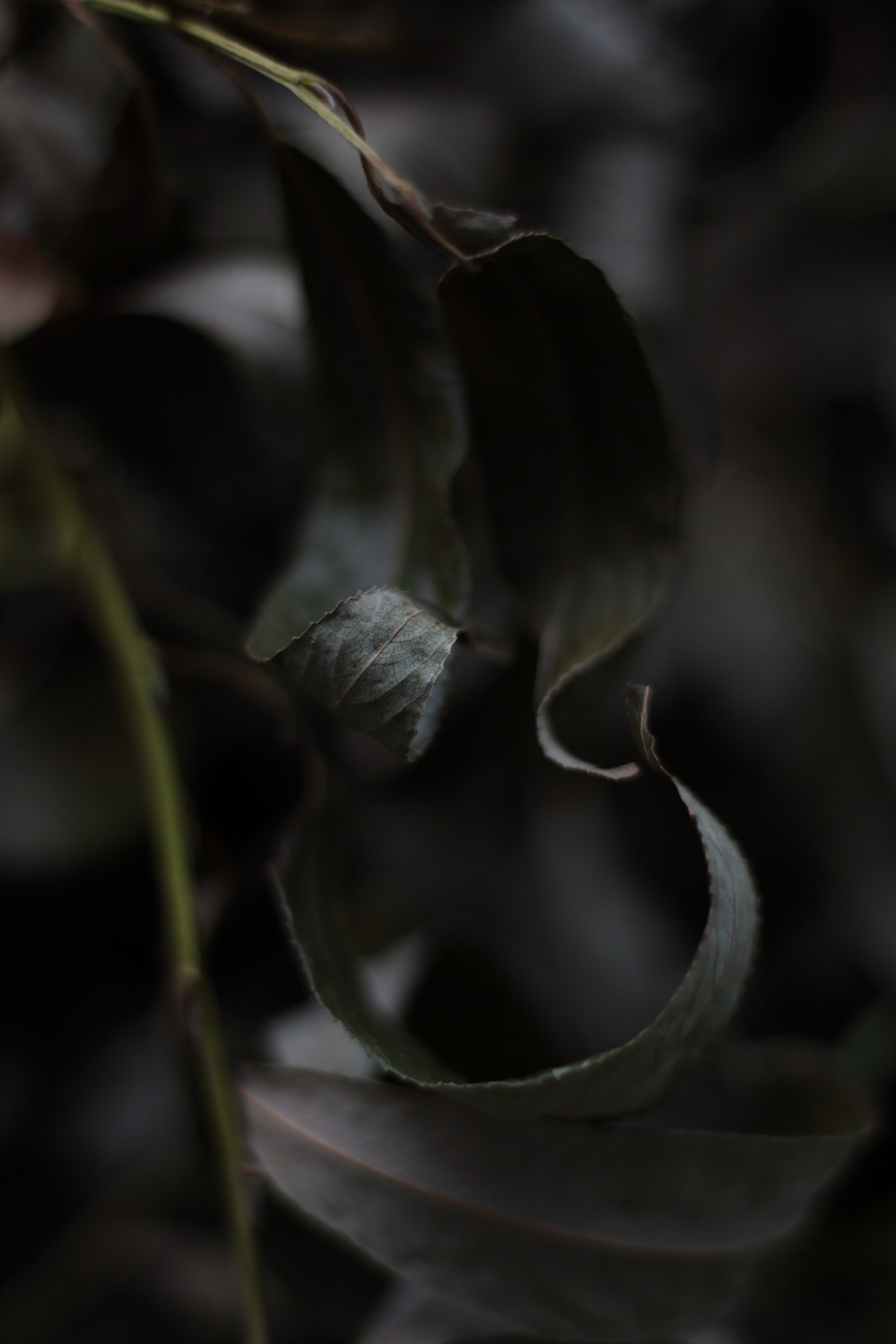 Старое природное, отбирала Katamount (Катерина Горохова). Главная