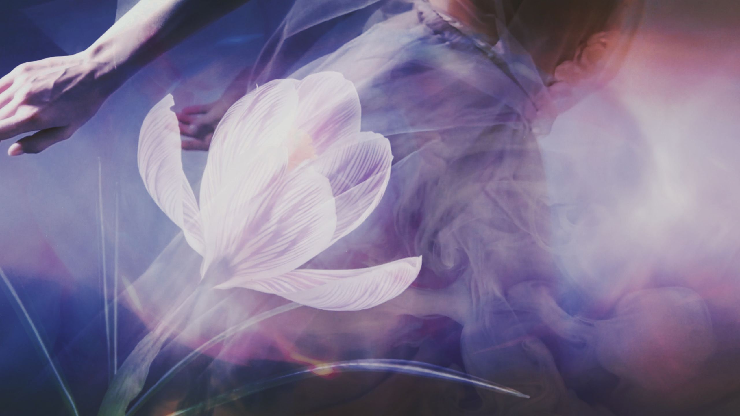 REBIRTH. NATALYA SEMIKOVA — VISUAL ARTIST| FILM DIRECTOR IN MOSCOW