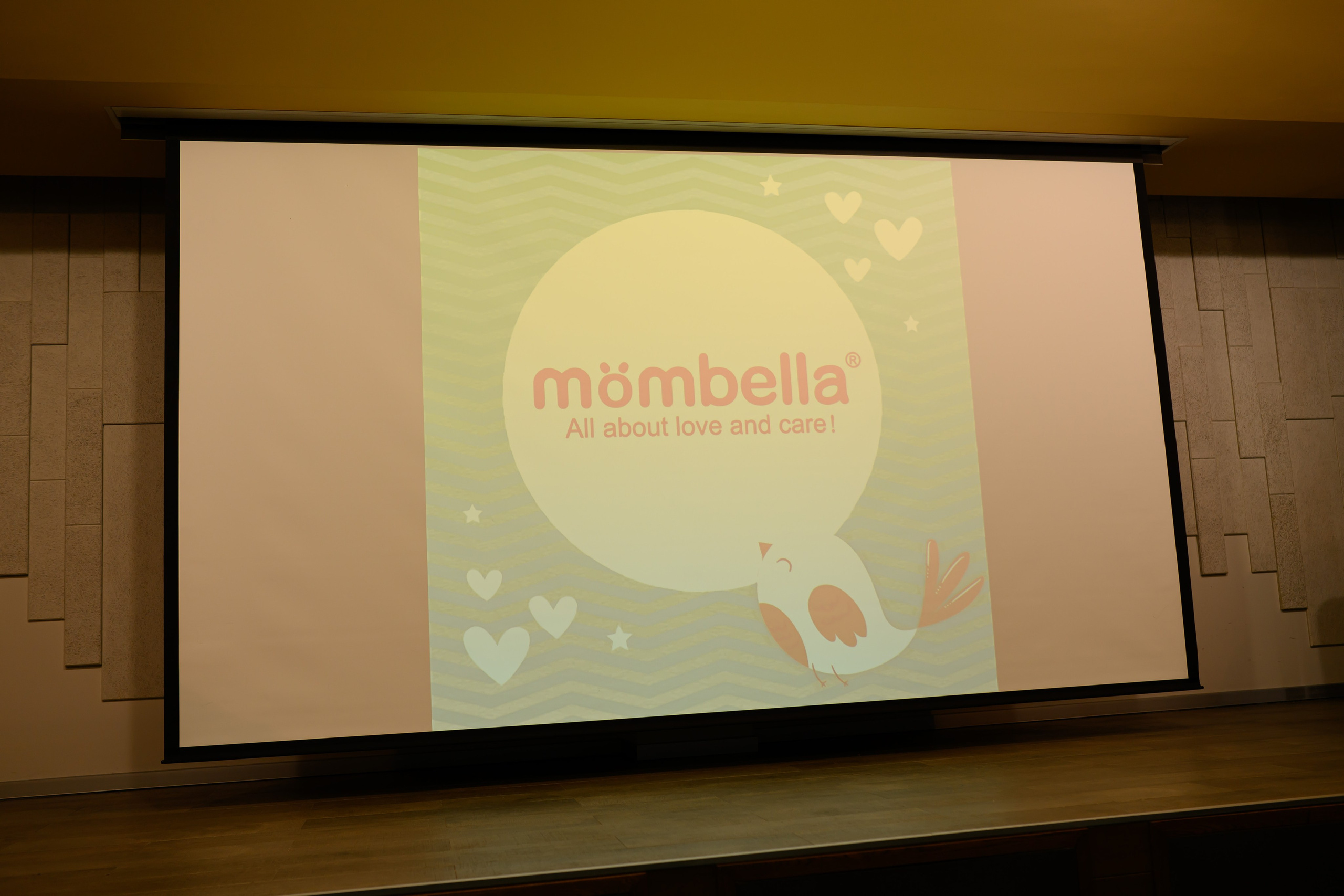 Праздник материнства ноябрь 2025. Профессиональный фотограф Елена Красилина г.Ярославль, г. Рыбинск