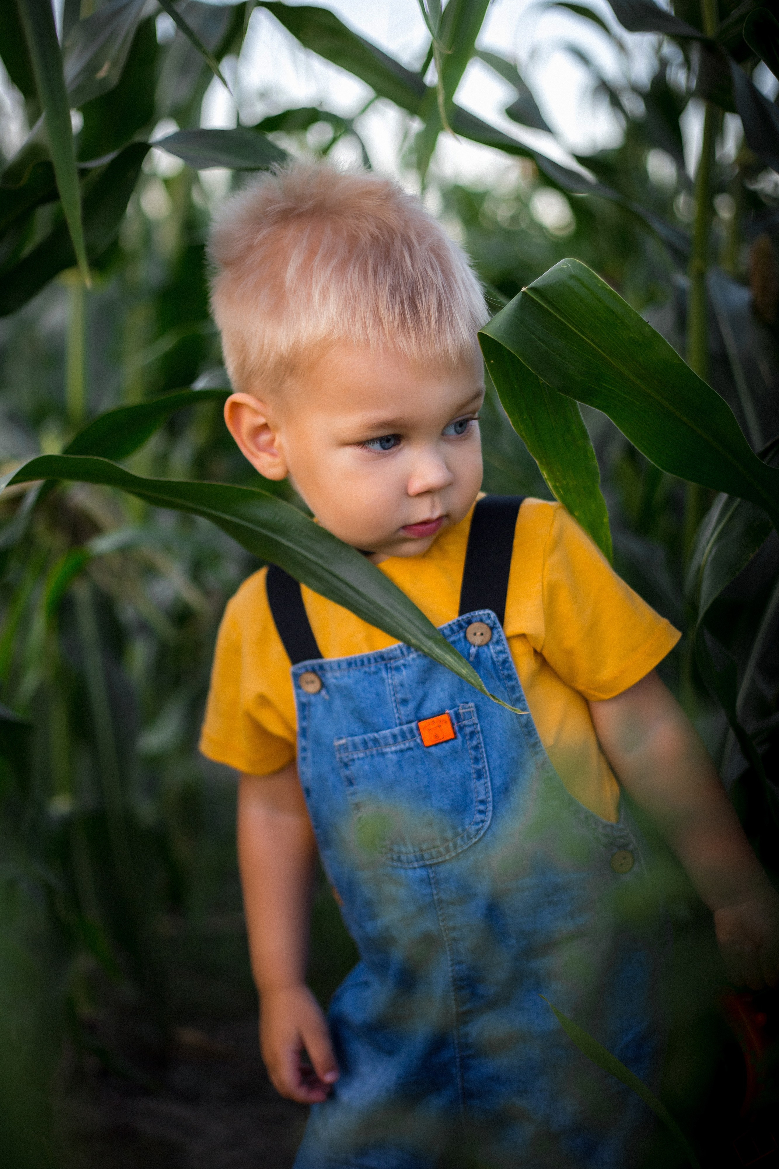 Миша и Маша. Портретный, семейный, свадебный фотограф в Брянске Маргарита Василькова