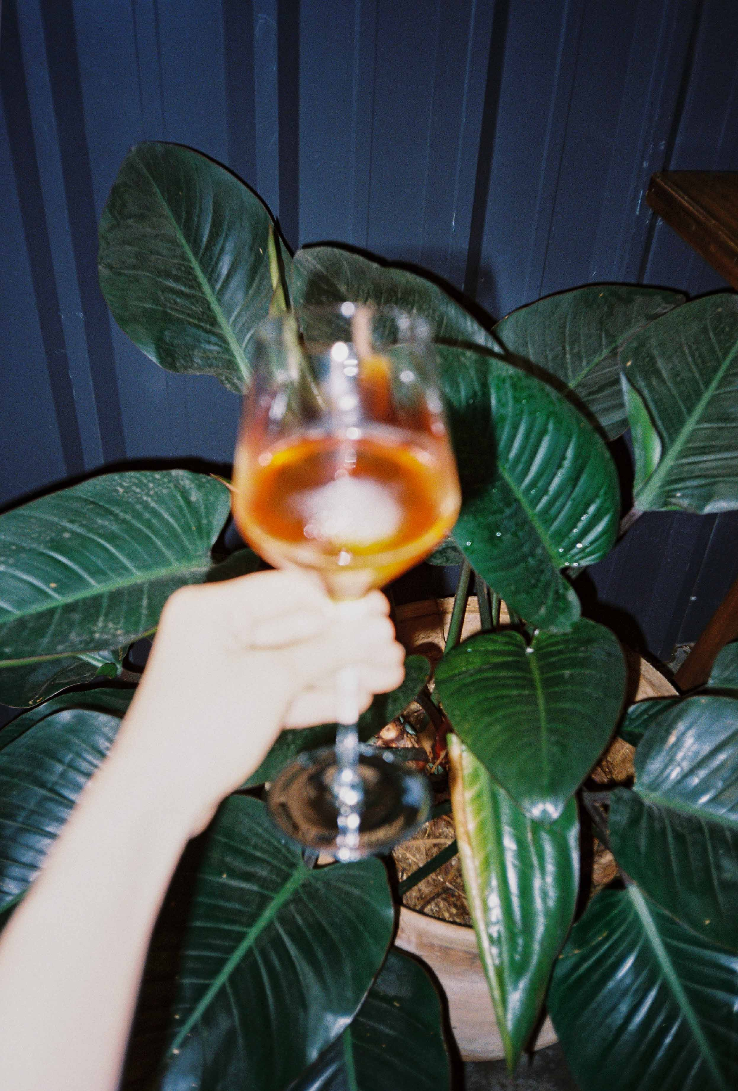 Dalat 2023. Film Photographer in Da Nang, Vietnam — Tanya Parfenteva