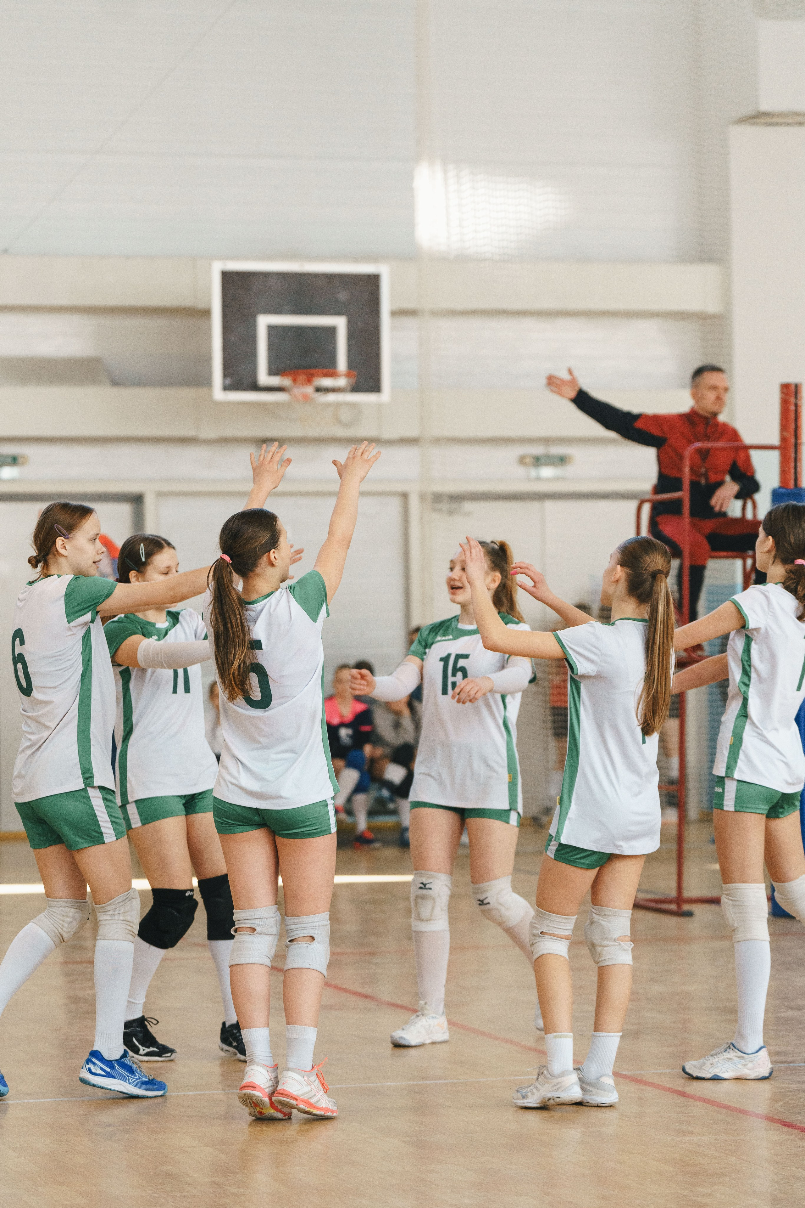 Волейбол торус. Фотограф-анималист в Санкт-Петербурге