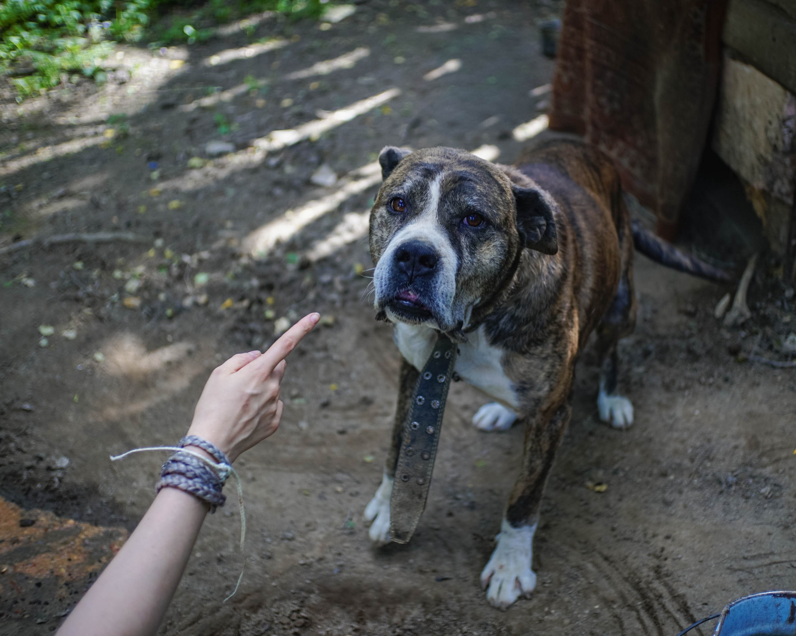 Праздник Ивана Купала. Федор Ратчин — фотограф