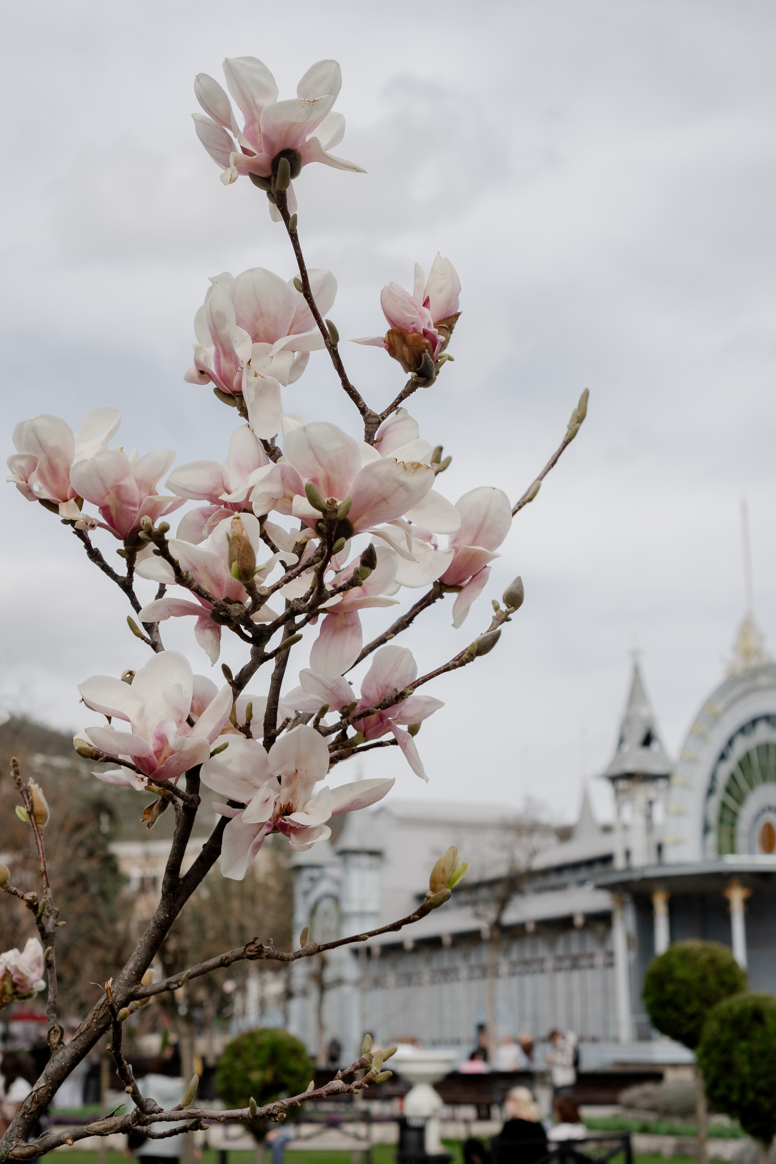 ПЯТИГОРСК. Профессиональный фотограф, Санкт-Петербург — Виктория Богомолова