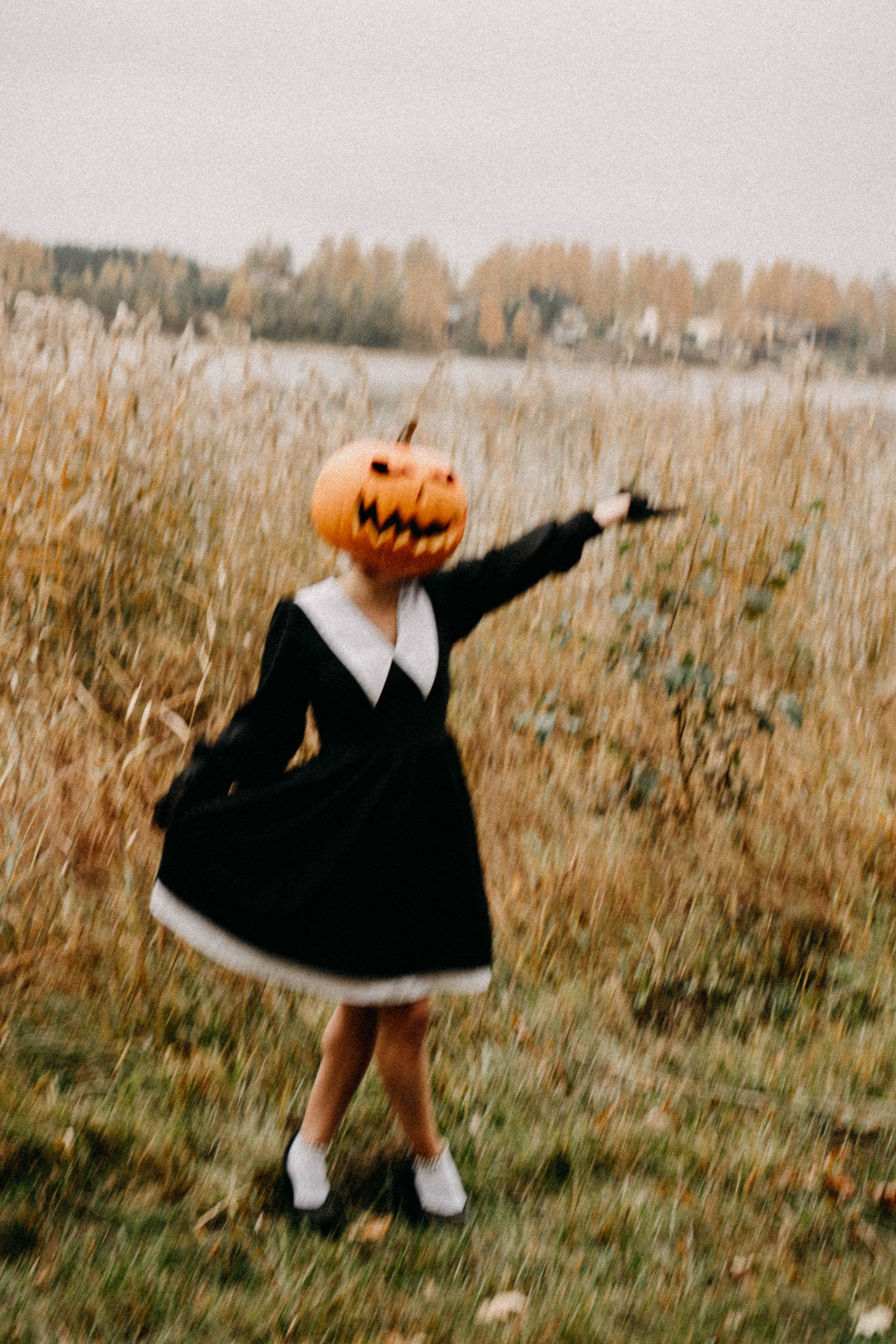 Осеняя. Профессиональный фотограф, Санкт-Петербург — Виктория Богомолова