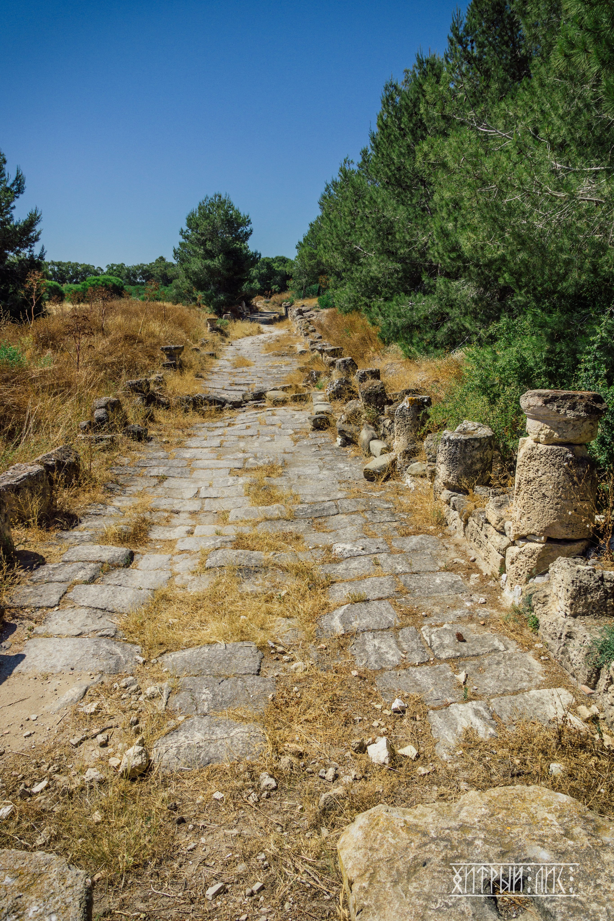 Кипр. Фотограф-путешественник Самойлов Максим «Sly Fox»