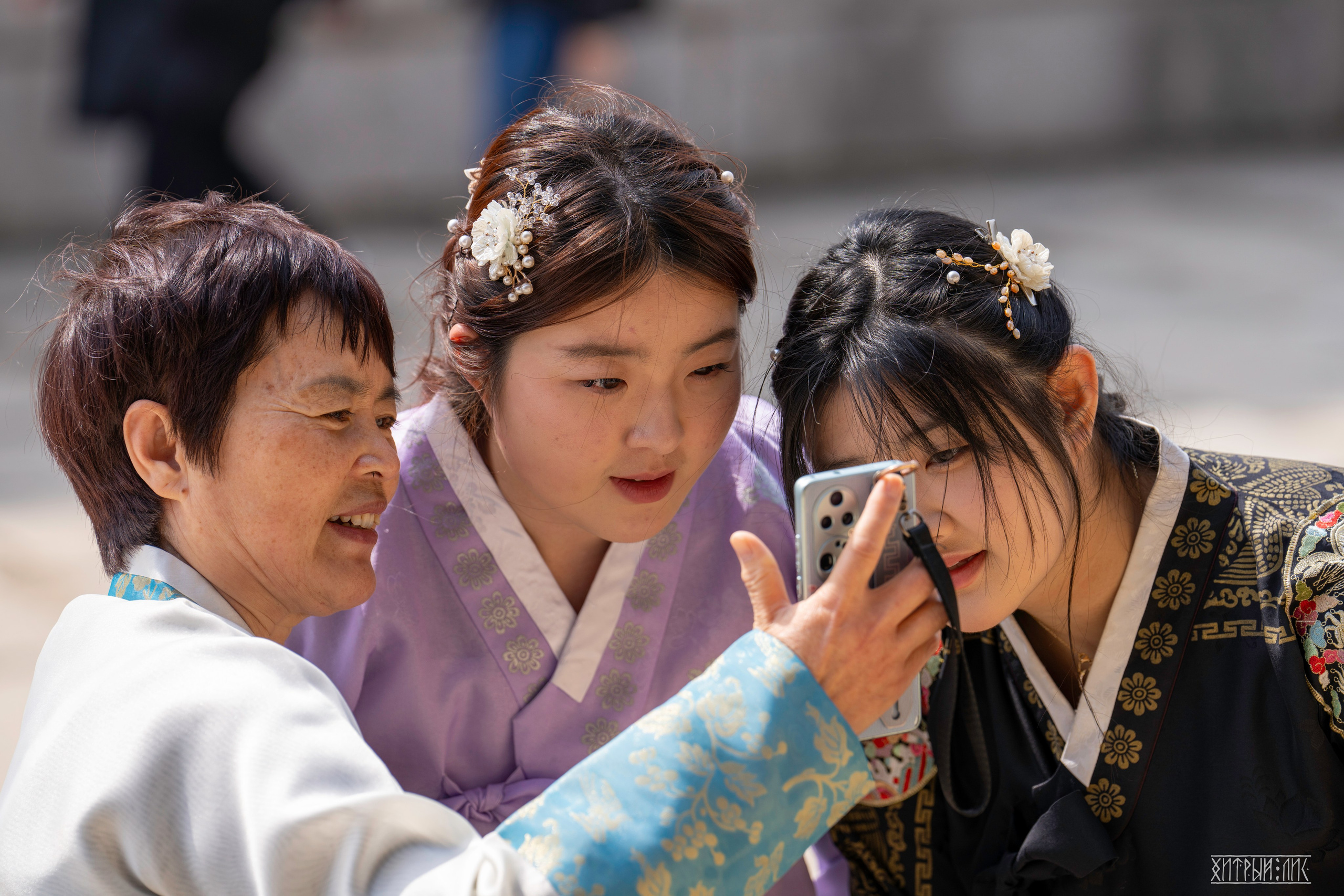 Южная Корея. Фотограф-путешественник Самойлов Максим «Sly Fox»