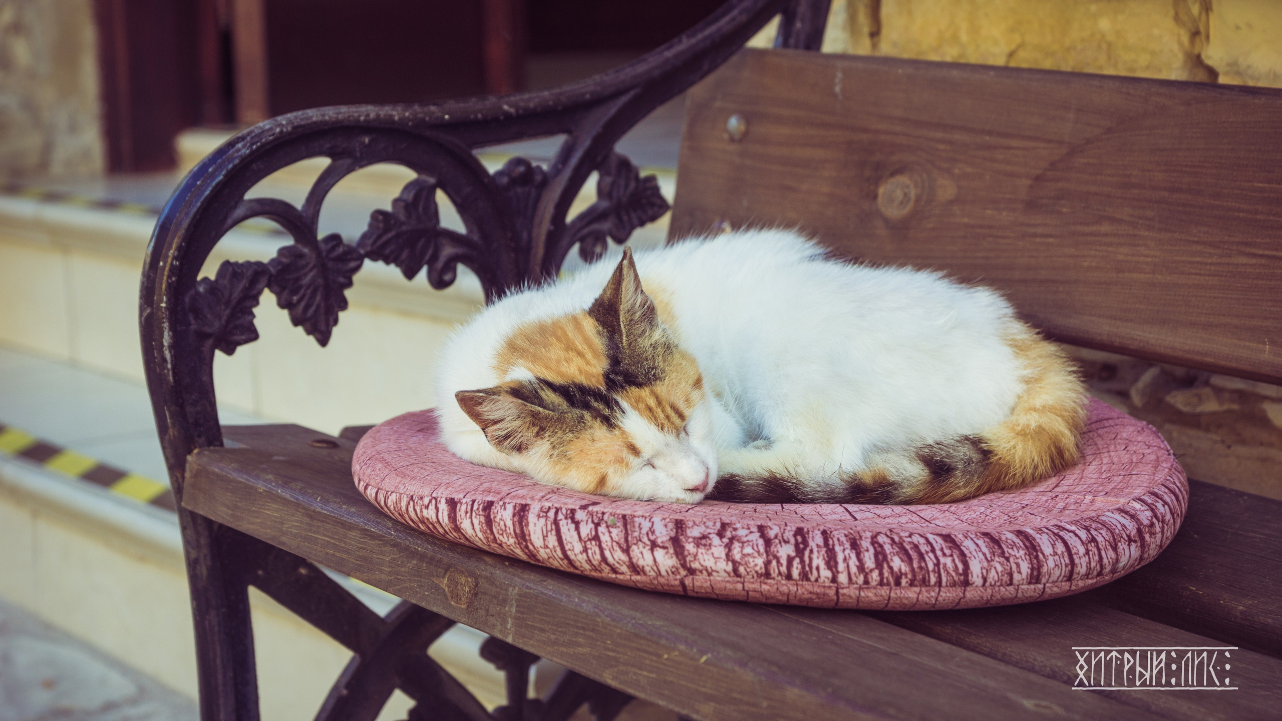 Кипр. Фотограф-путешественник Самойлов Максим «Sly Fox»