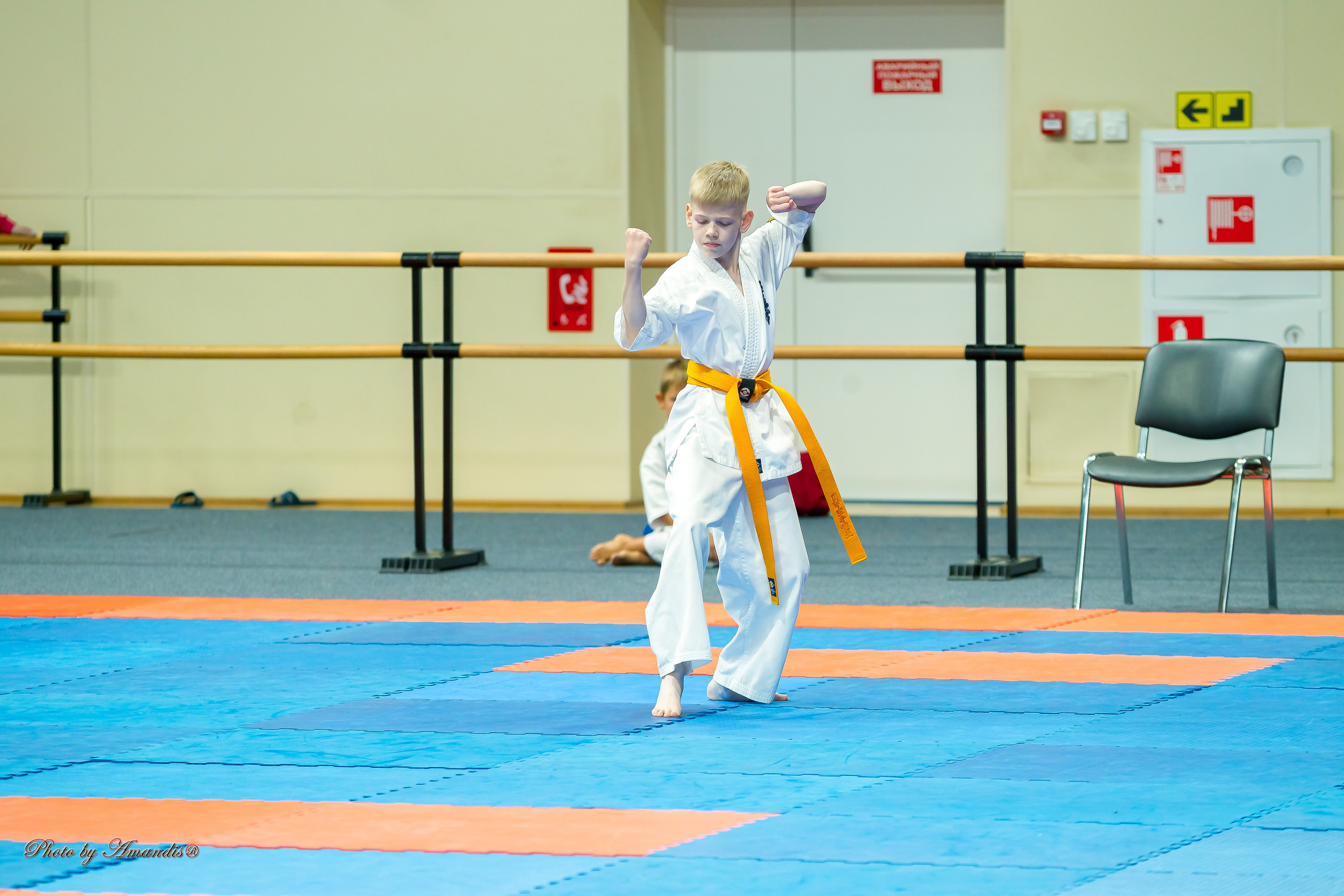 Первенство Московской области по Киокушин в СК «Жаворонки». Репортажная съемка в Москве и области. Анималистика