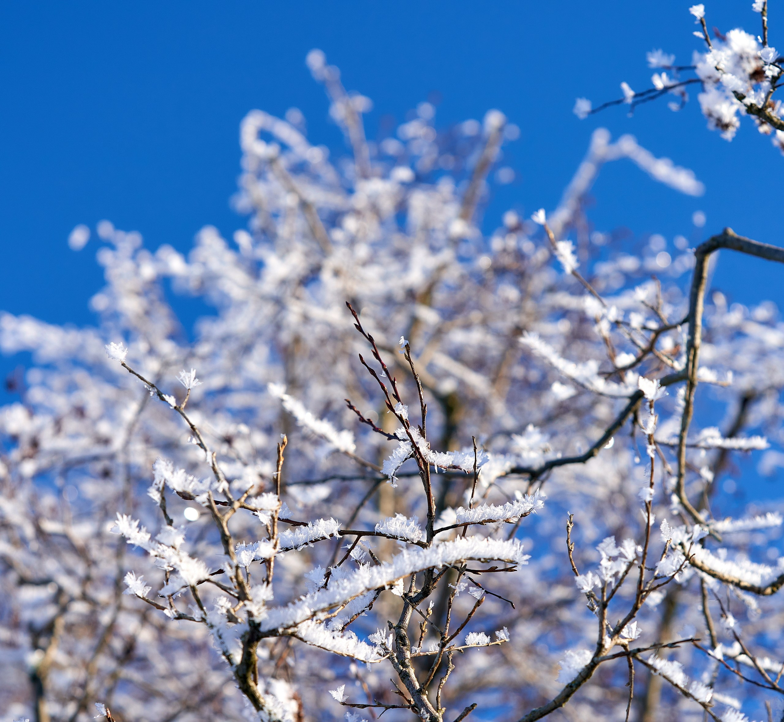 Пейзаж — галерея NATRIEL