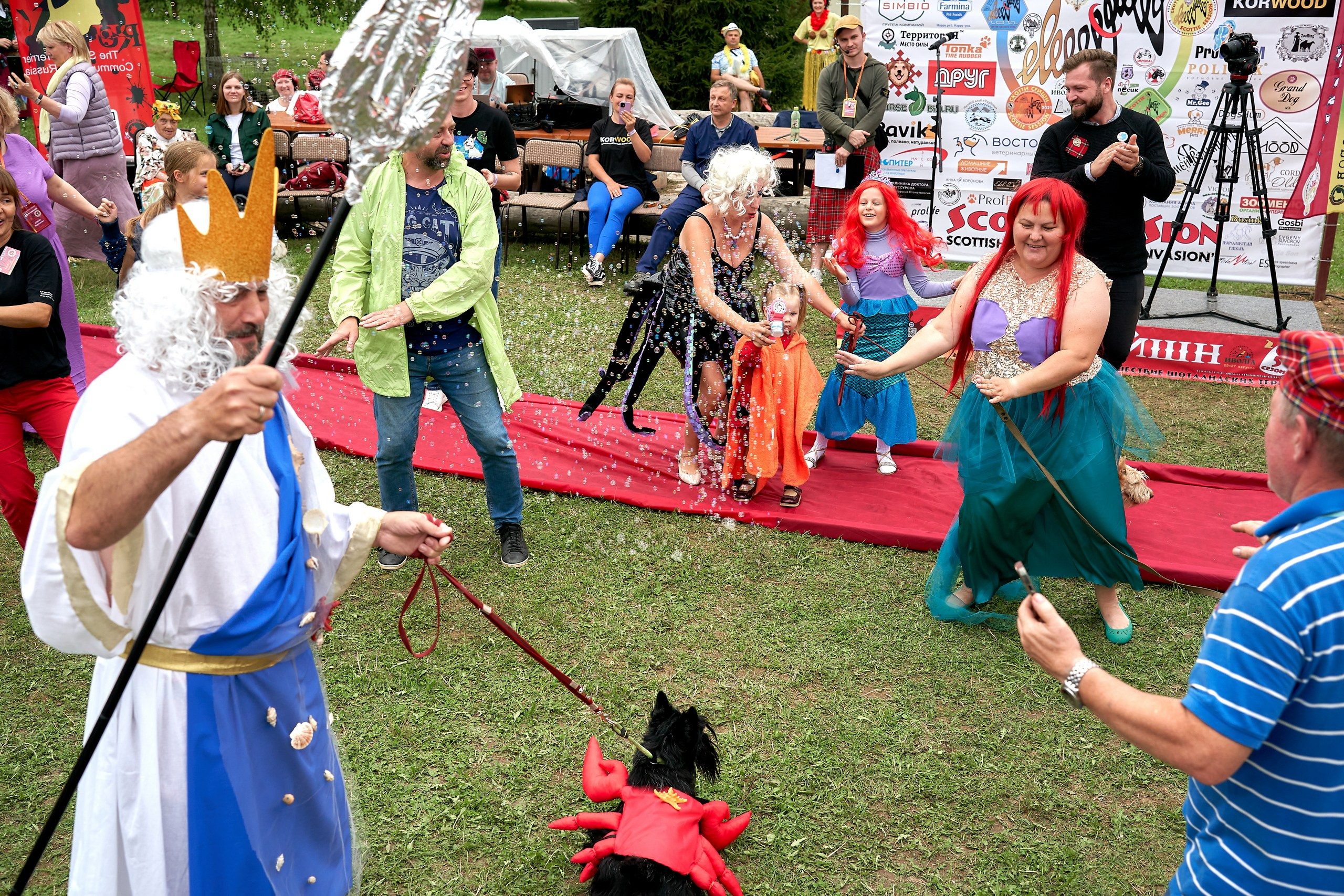 Мероприятия с собаками — галерея NATRIEL