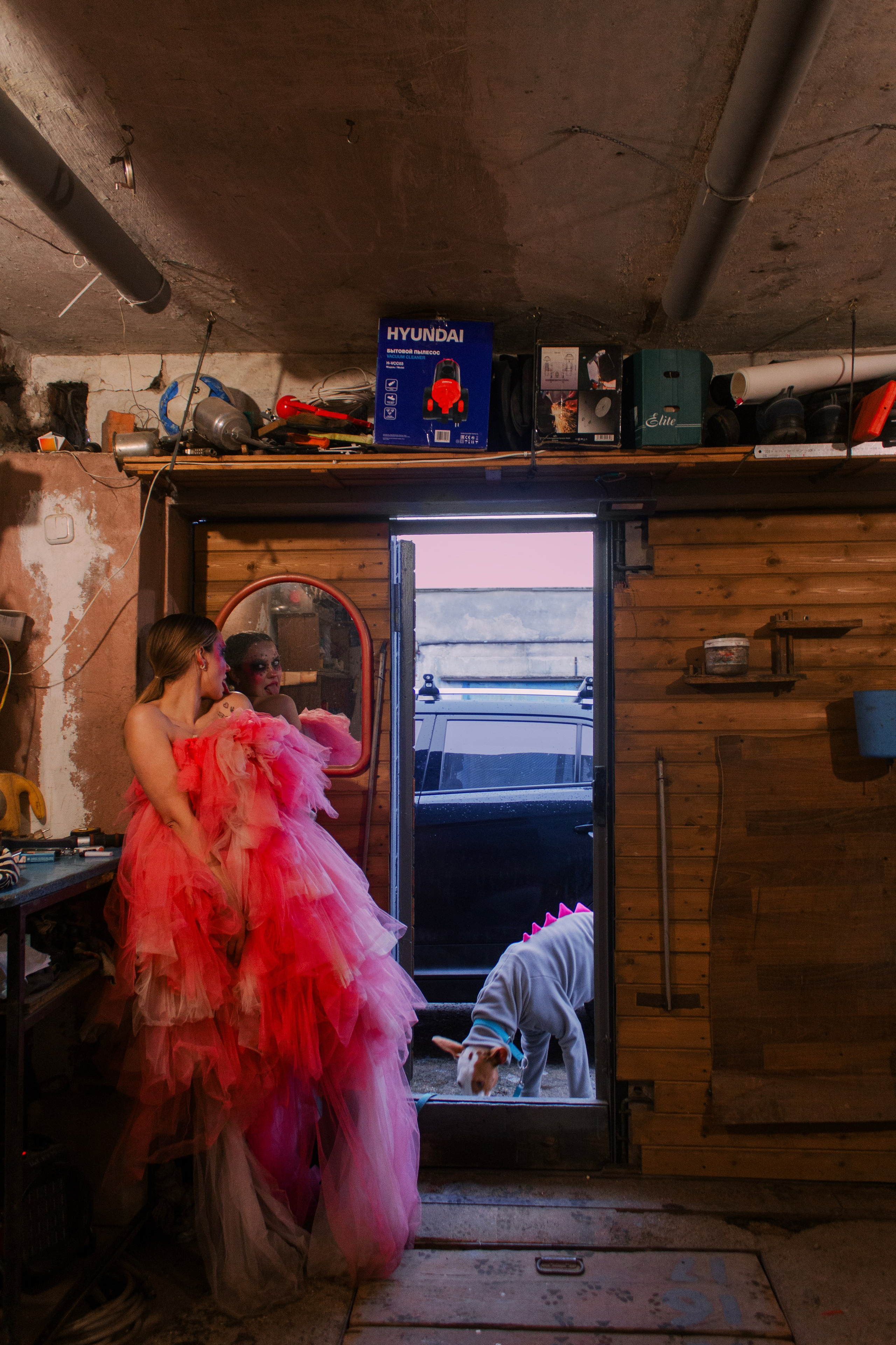 Яркая собачья жизнь