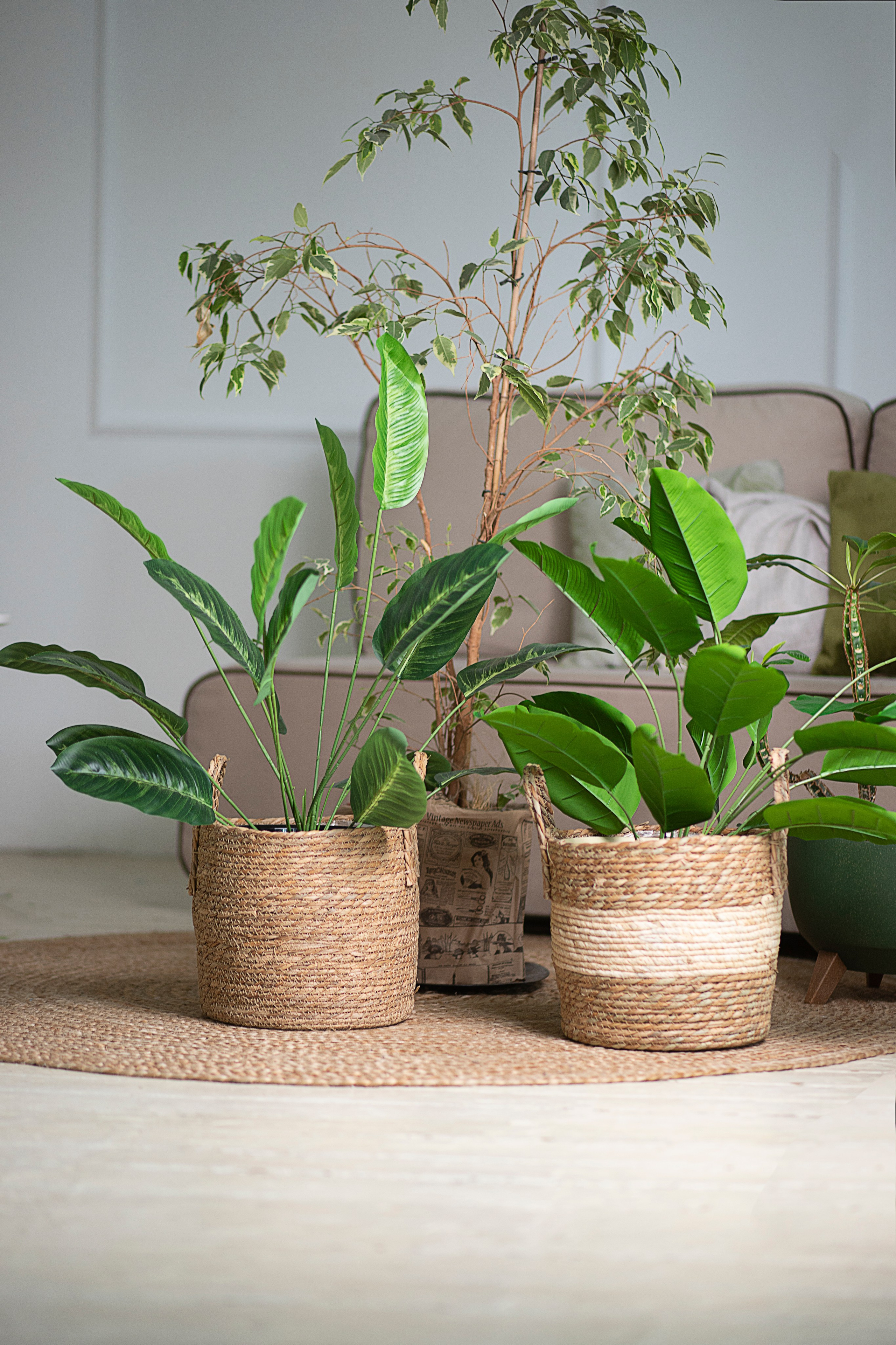 Маркетплейс. Фотограф Пушкино и Москва Анастасия Коган