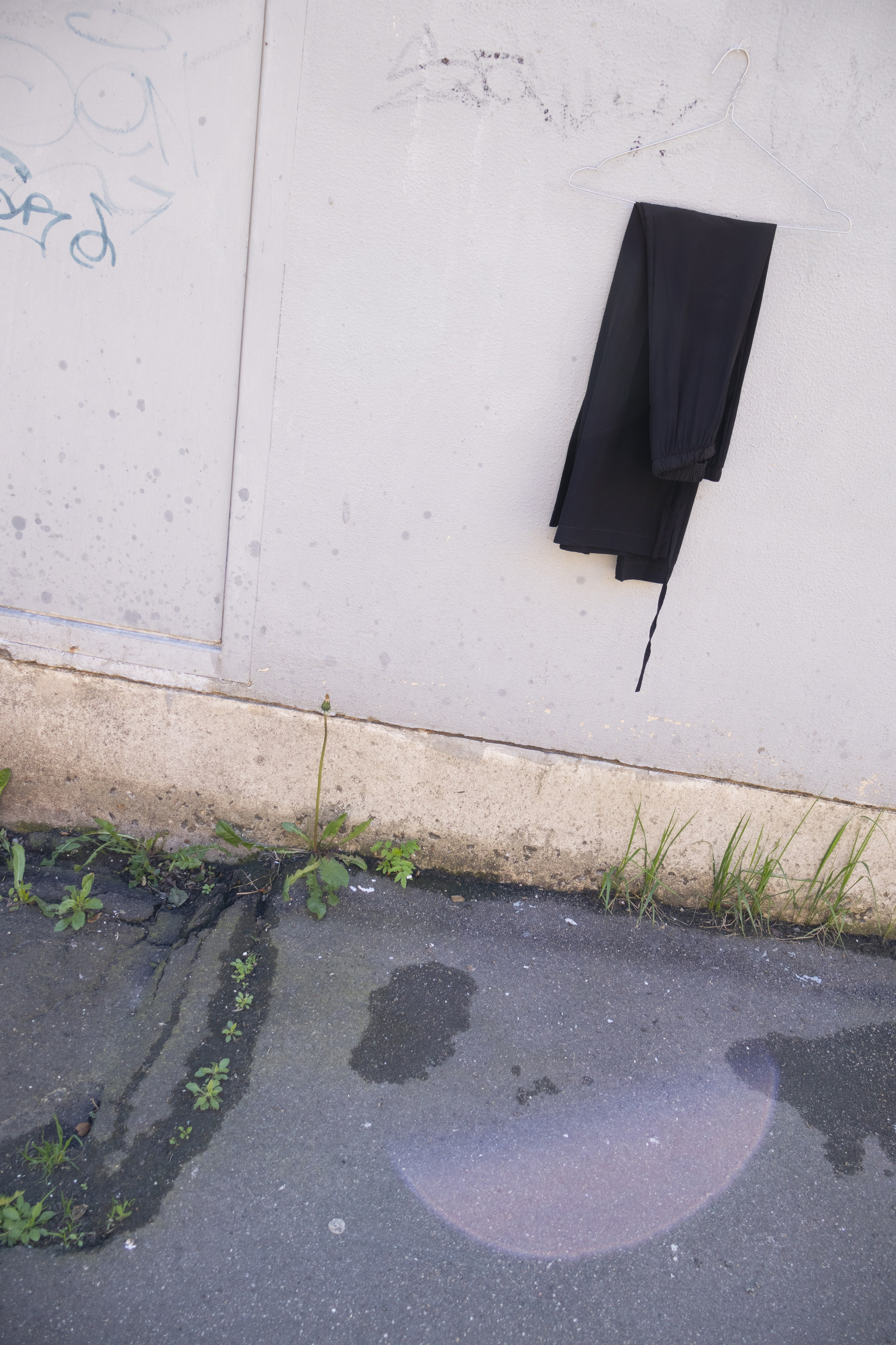 Art direction & Design | Curiosa