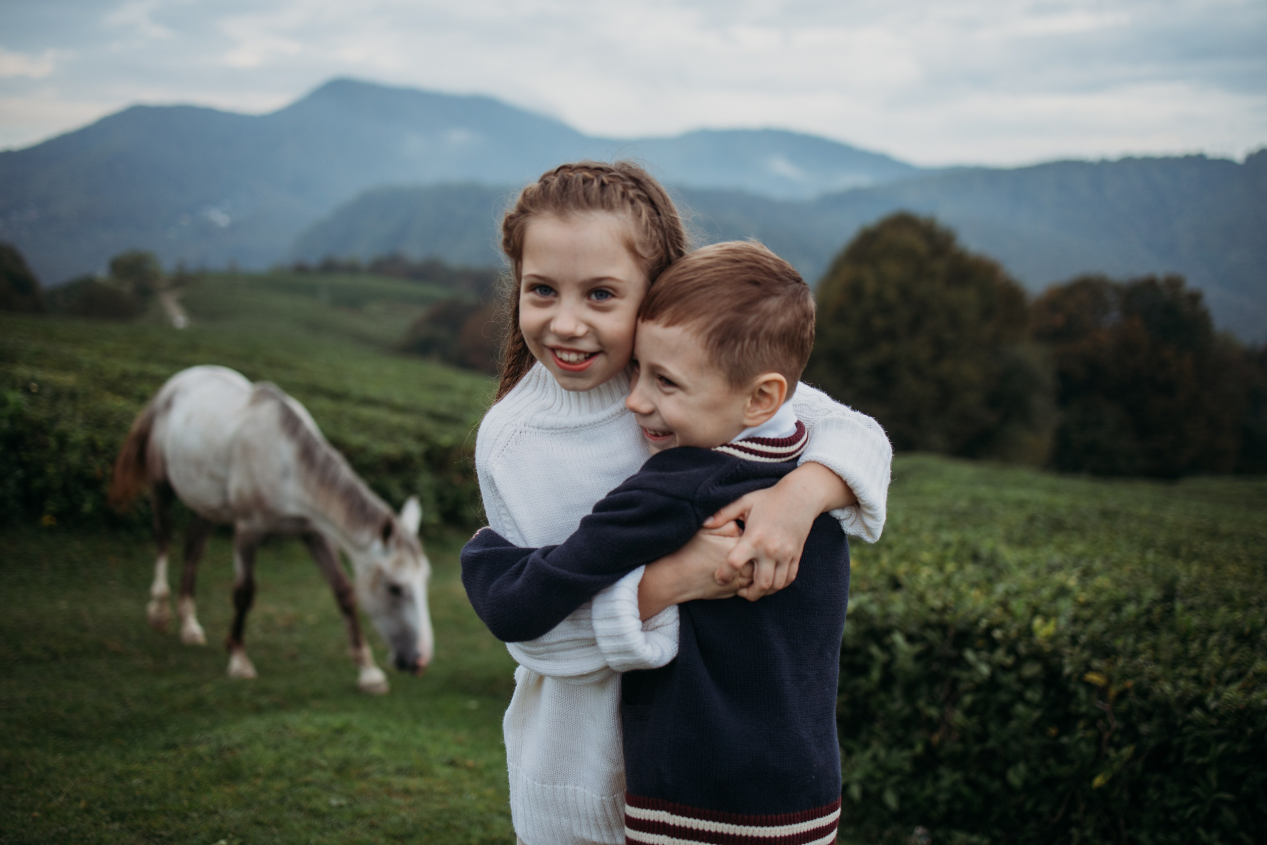Чайные плантации мацеста. Фотограф Сочи Татьяна Зорина